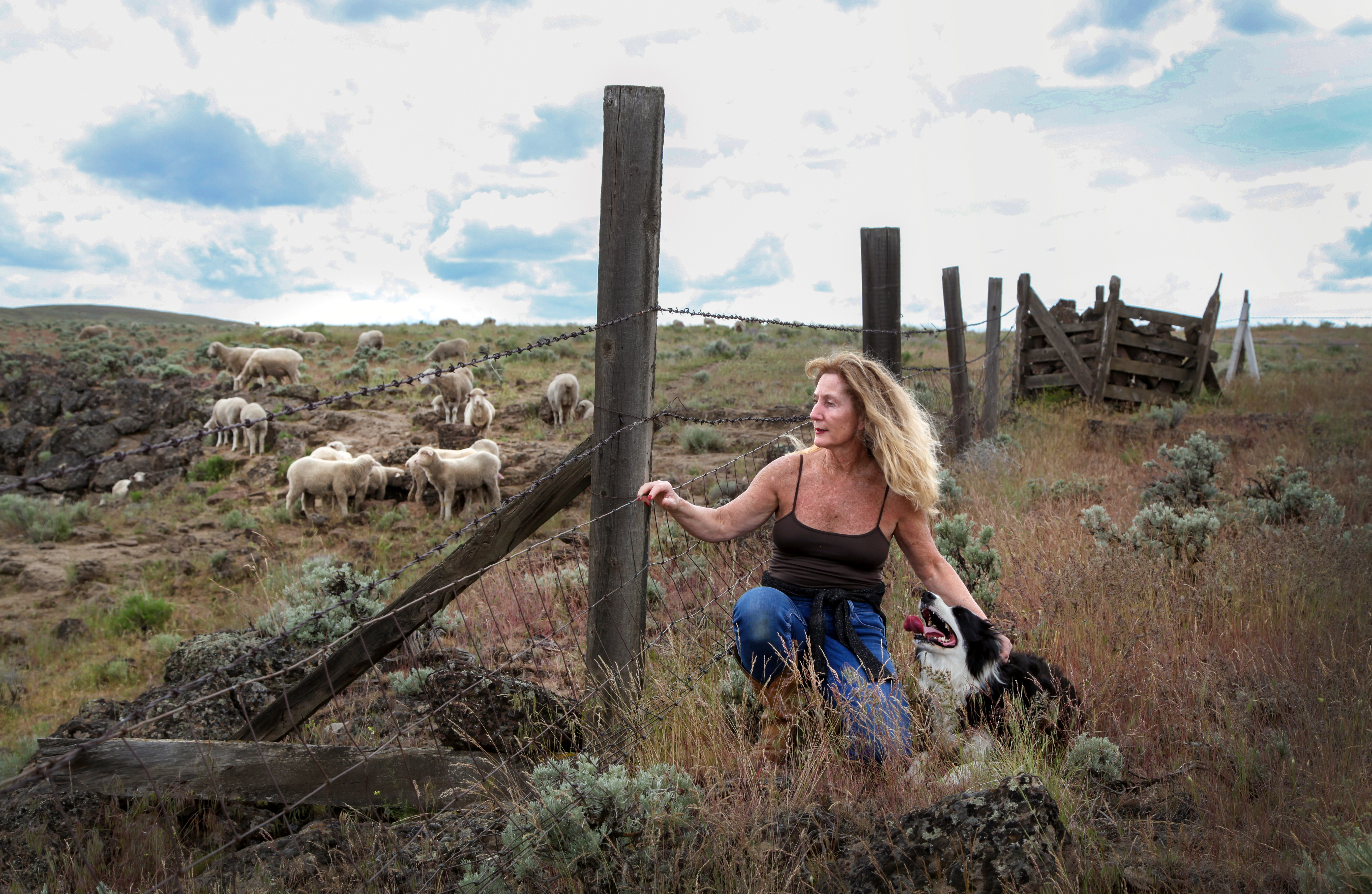 How 'carbon farming' could help Oregon reach its climate goals - OPB