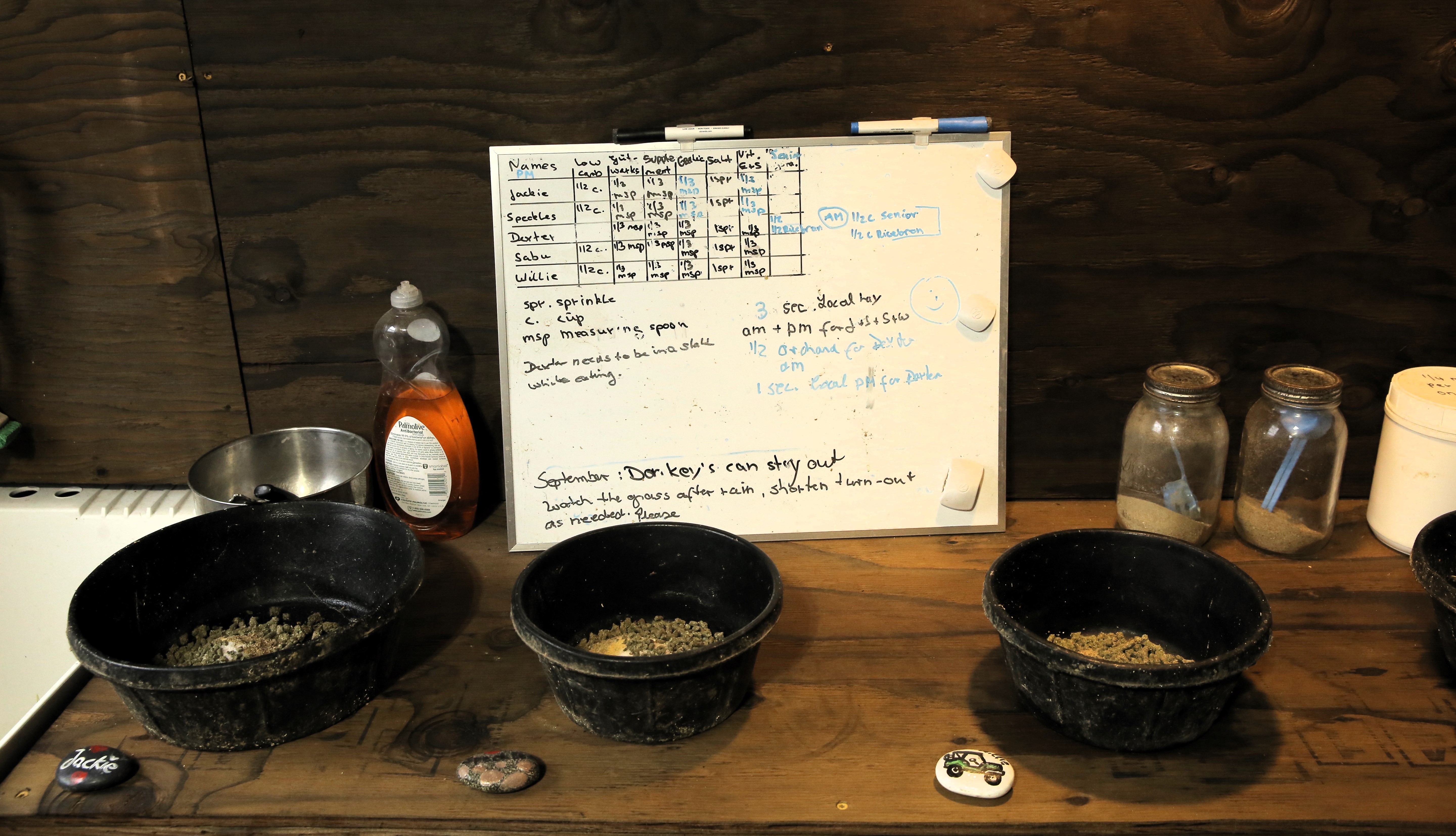 The animals get individualized diets at On Golden Rescue sanctuary. Nov. 12, 2024