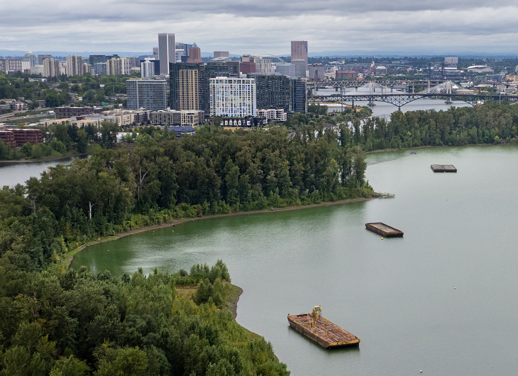 A cyanobacteria bloom is visible along the shores of the Ross Island lagoon on the Willamette River, Aug. 15, 2025. 