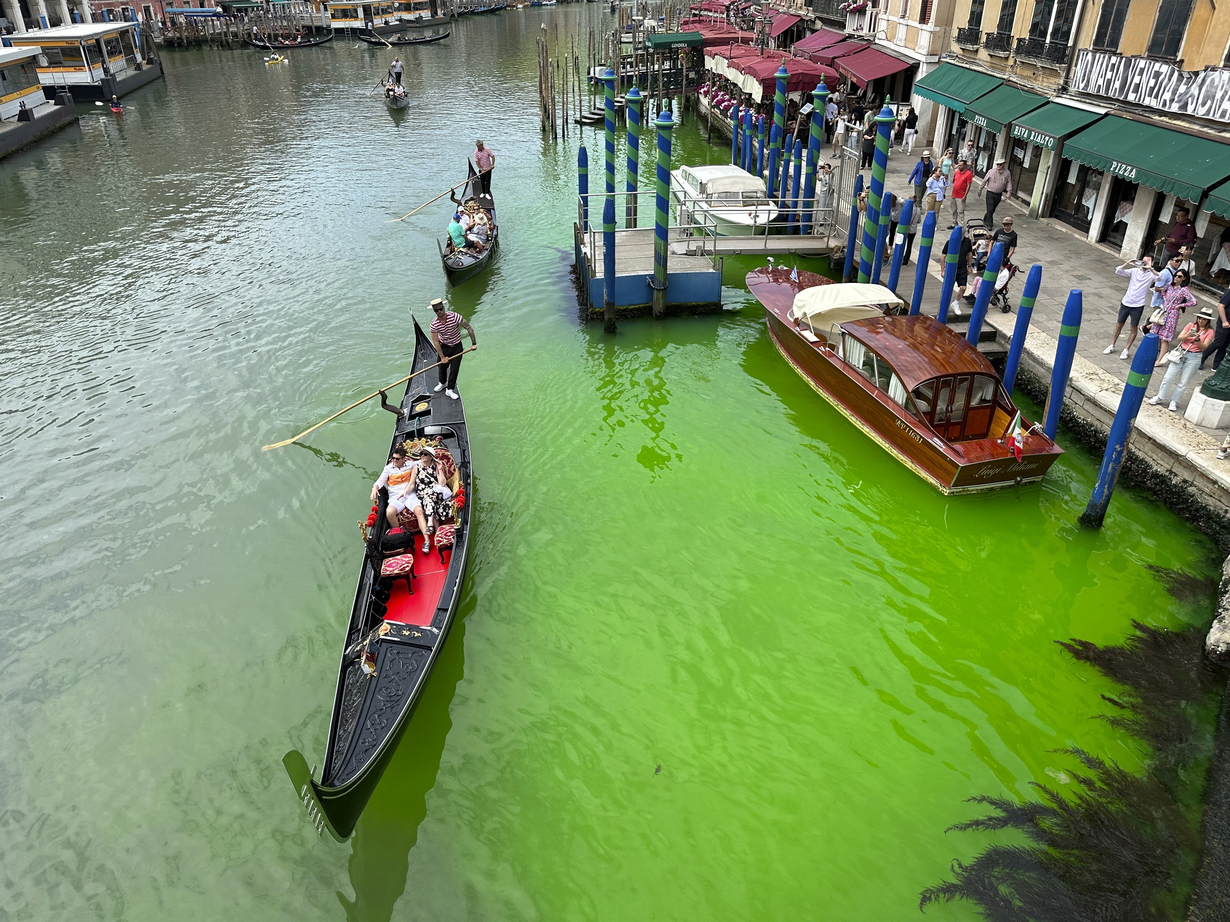 Venice police investigate bright green liquid in Grand Canal - OPB
