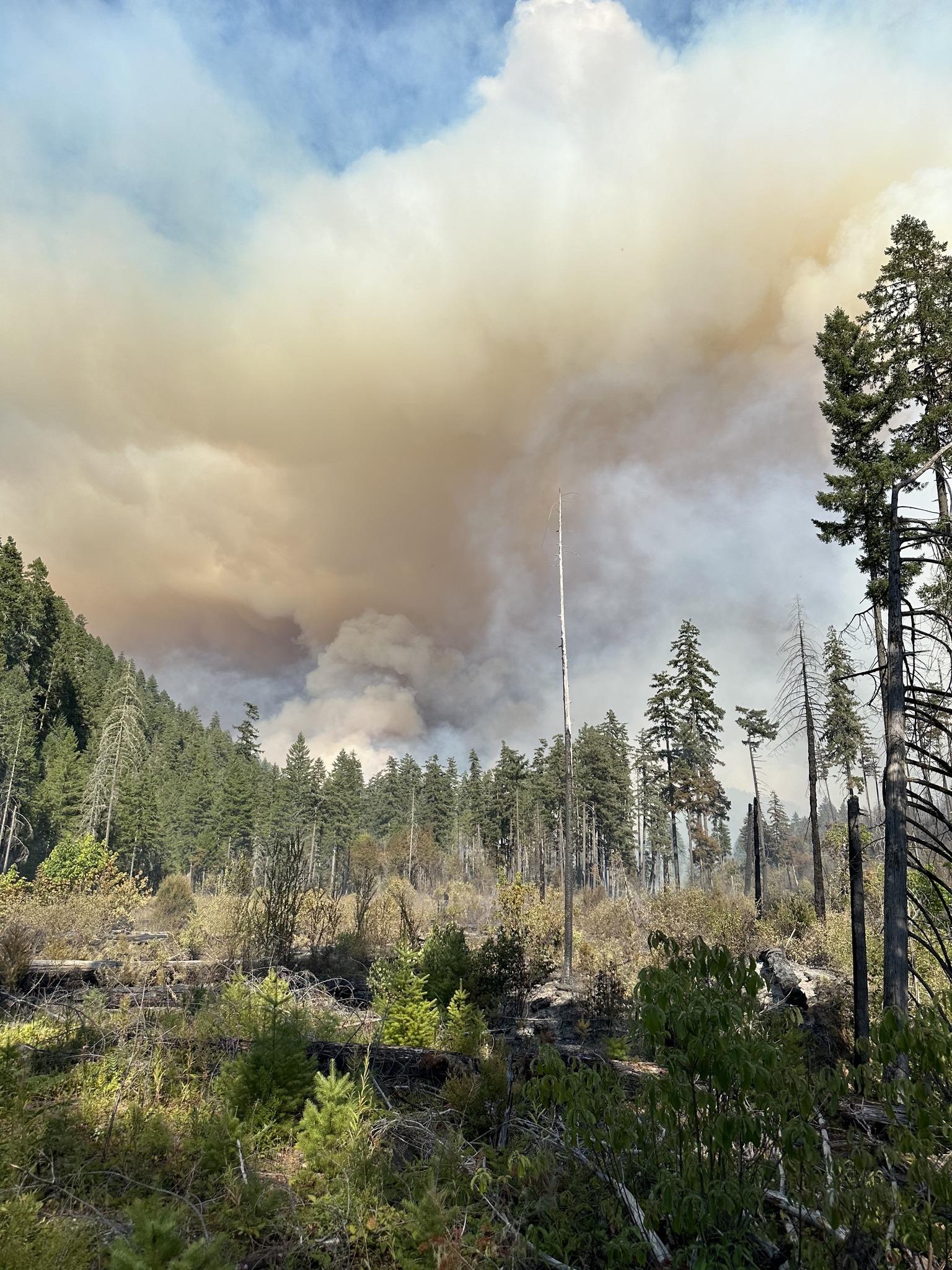 People are starting a lot of fires in the Pacific Northwest — High