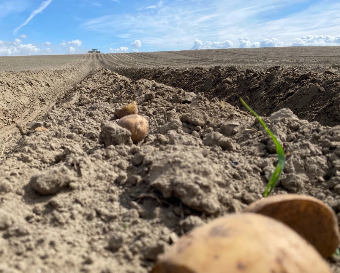 At the top of a hill, a tractor with a 17-foot wide planter plugs seed potatoes into the sandy ground at the Ice Harbor Hilltop Farm east of Burbank, Washington.
