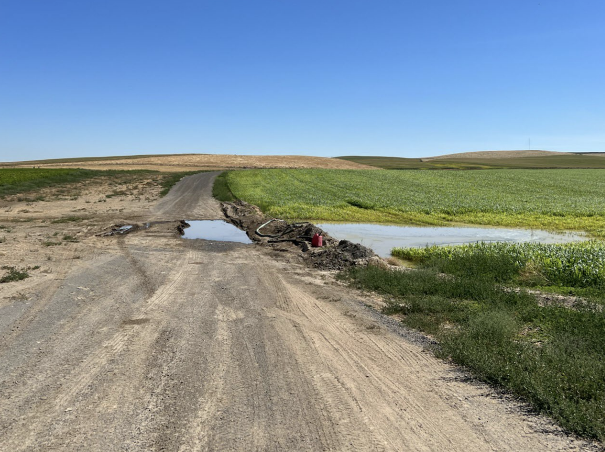 FILE - This photo from an Oregon Department of Agriculture report shows water runoff on a field. Runoff events, along with fertilizer leaks, have incurred fines for Easterday Dairy, before it was sold to the current owner, Canyon Farms. 