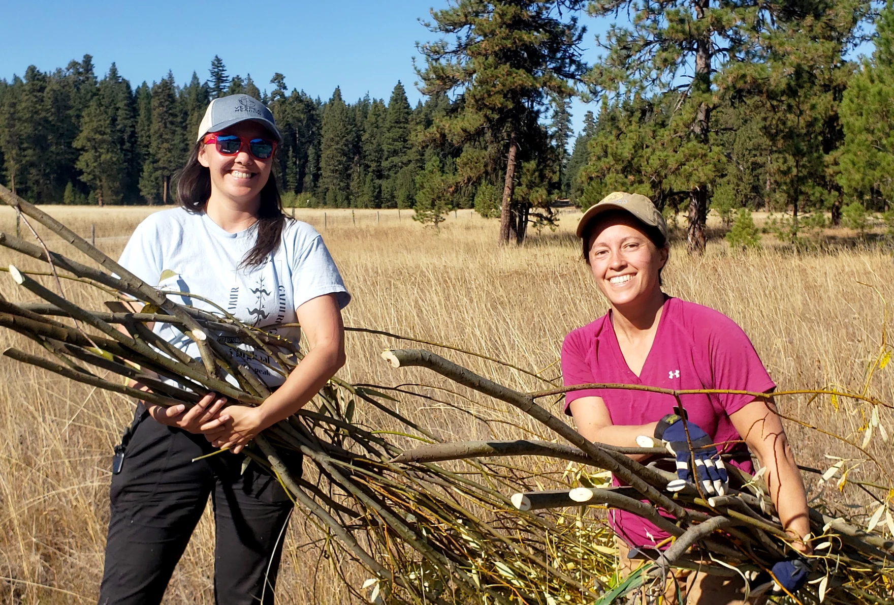 In a town near Ashland, Beaver Days looks to restore beaver populations -  OPB