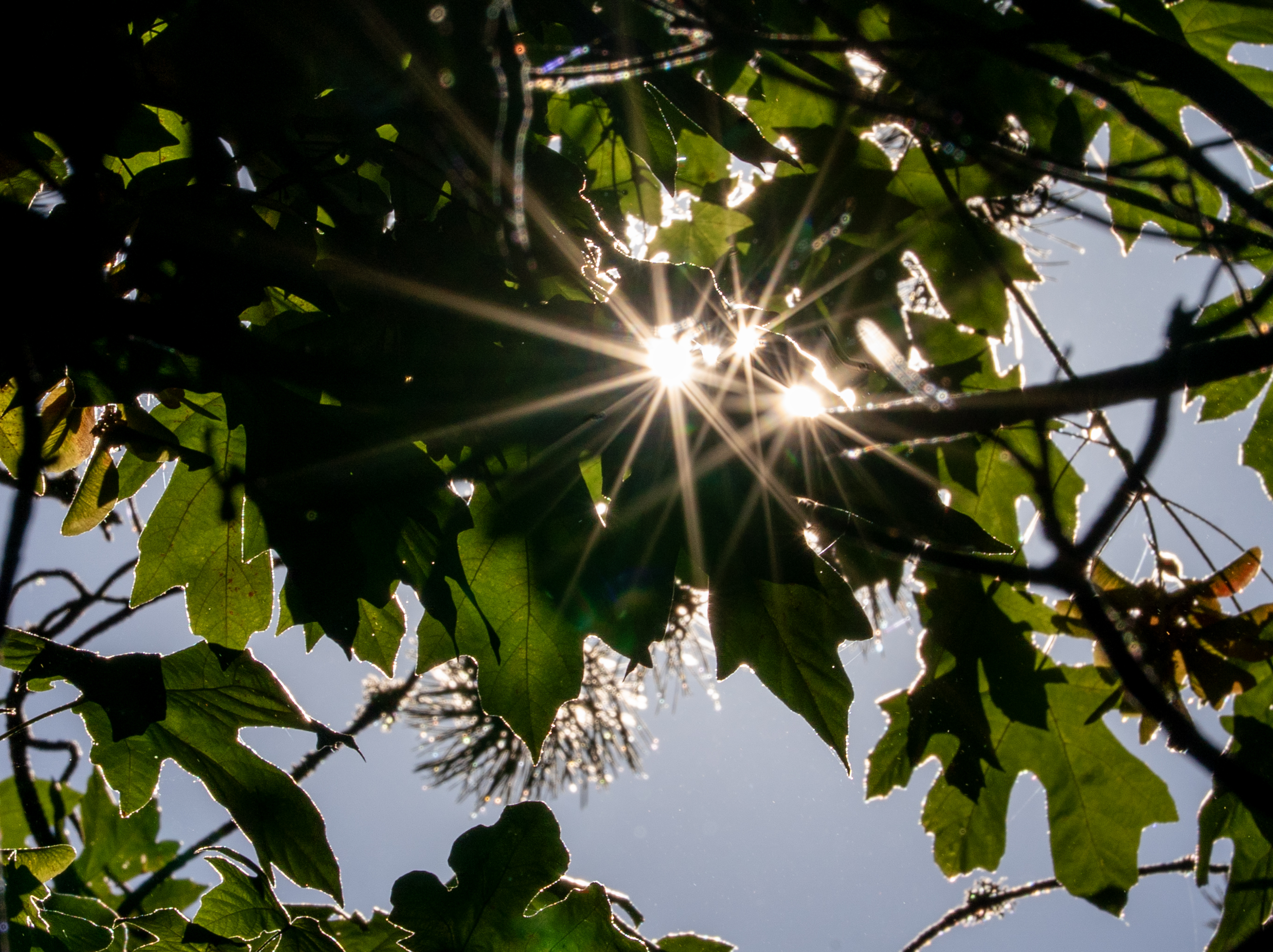 Officials urge precaution as extreme heat warning for Portland ...
