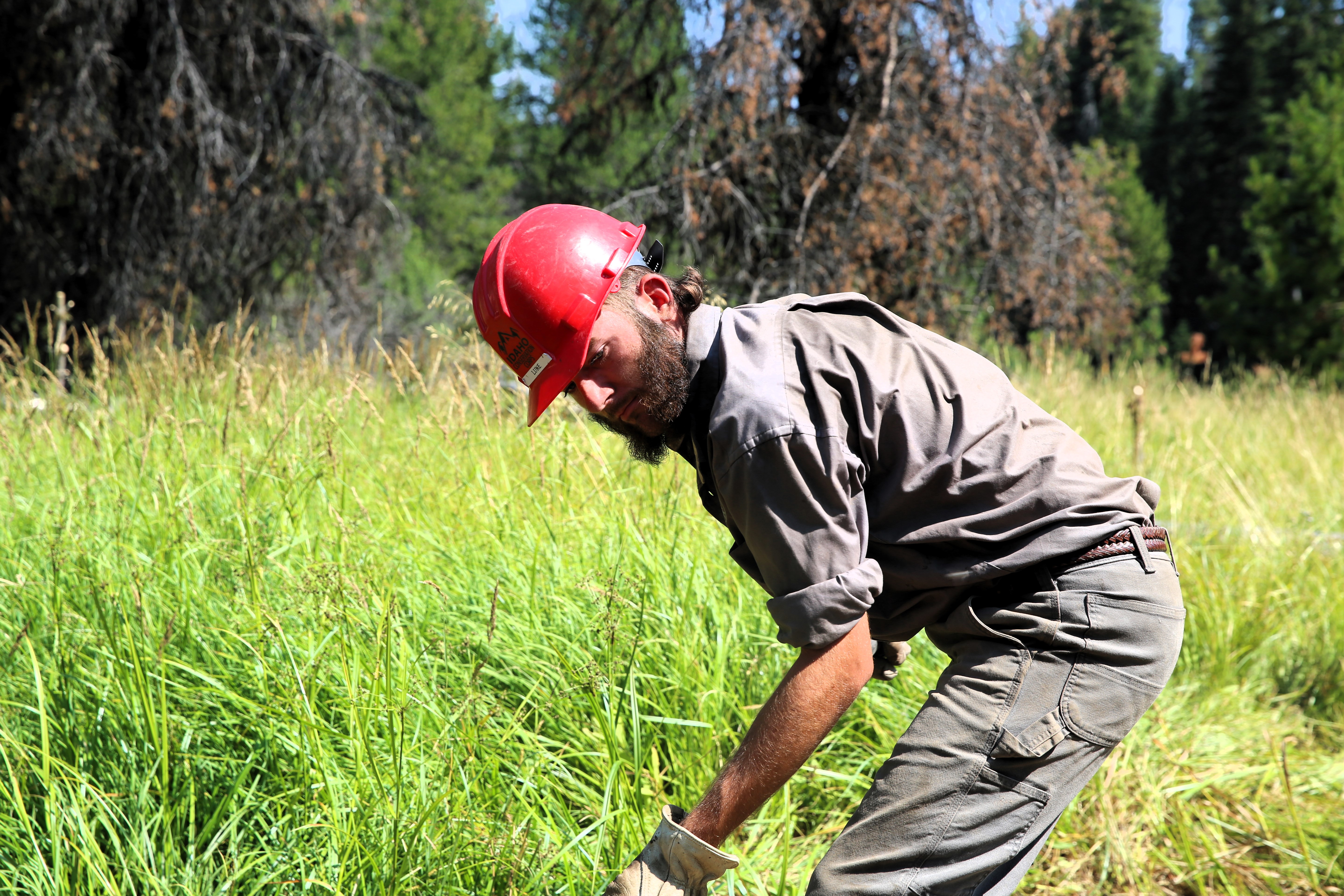 College student Luke Hurley worked on a crew repairing streams like Sheep Creek this summer.