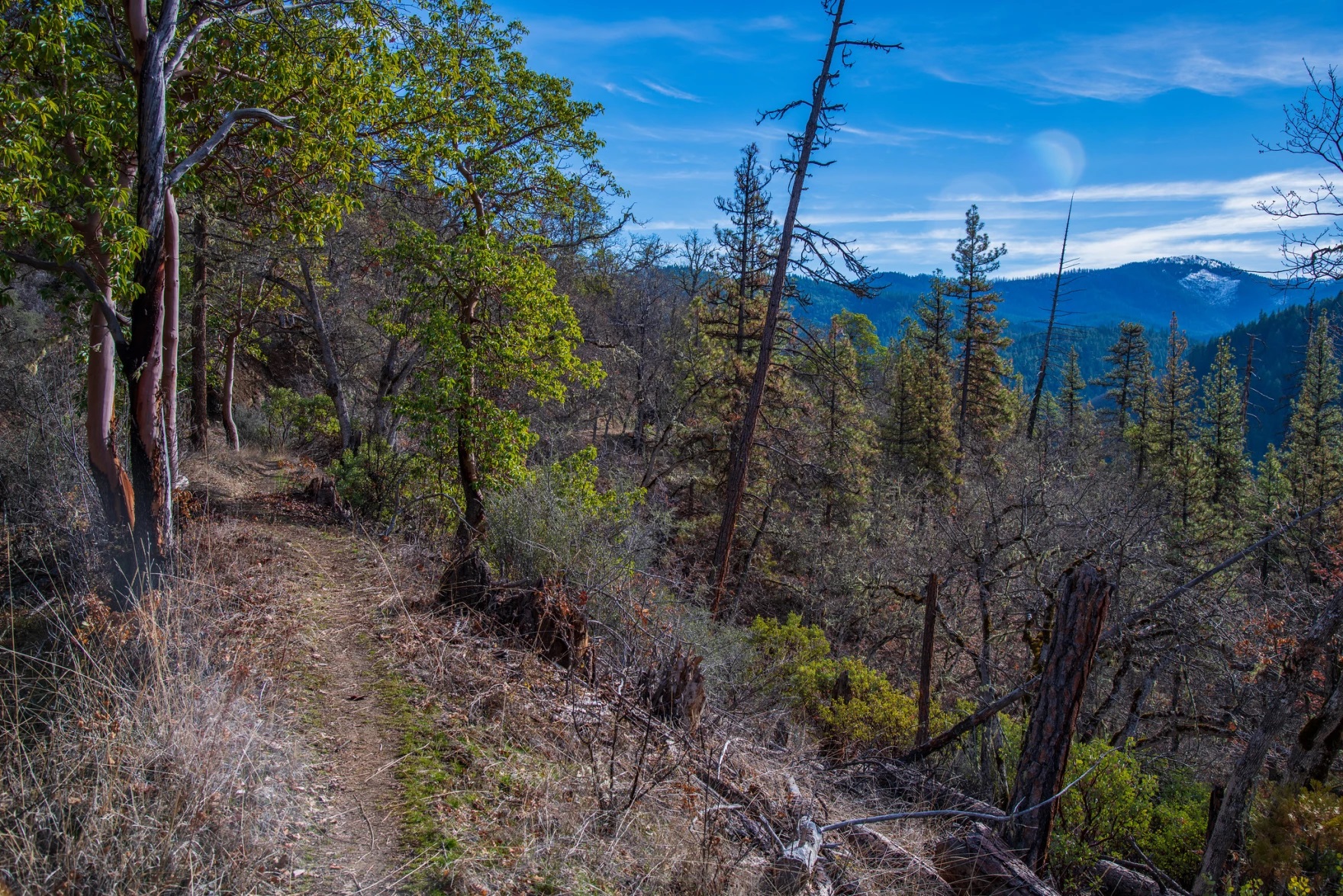 Oregonians could soon have less input on more than half the land in the state – Oregon Public Broadcasting – OPB