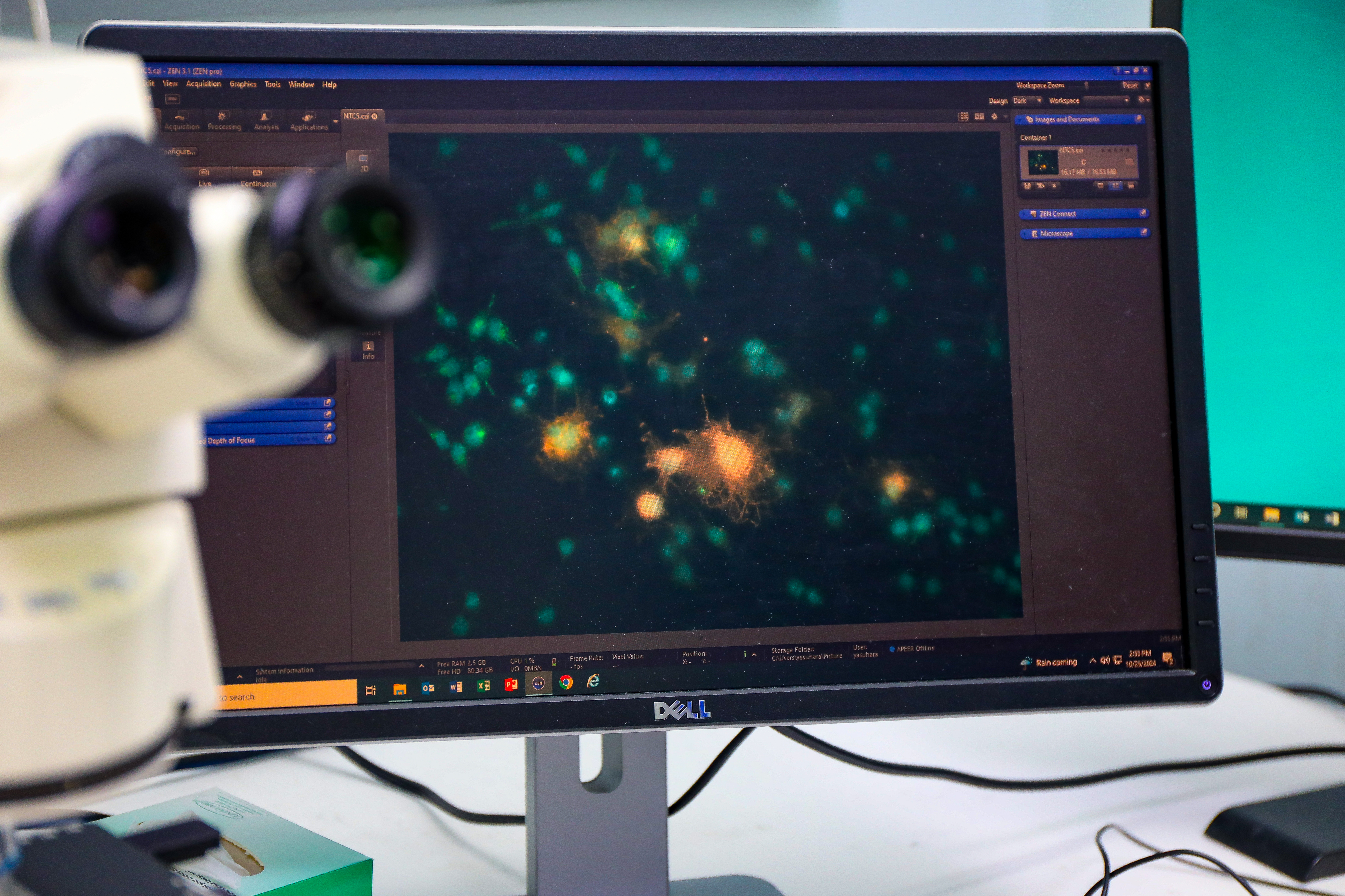 New research led by Oregon Health & Science University finds that a type of plant-derived chemical compound found in flowers may be useful in treating cancer and conditions such as multiple sclerosis.