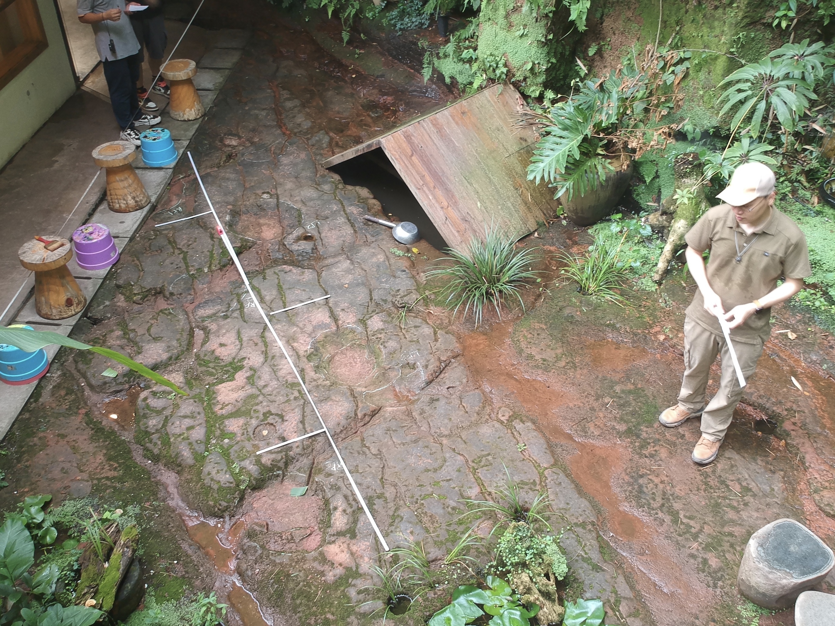 A diner discovered 100 million-year-old dinosaur footprints in a