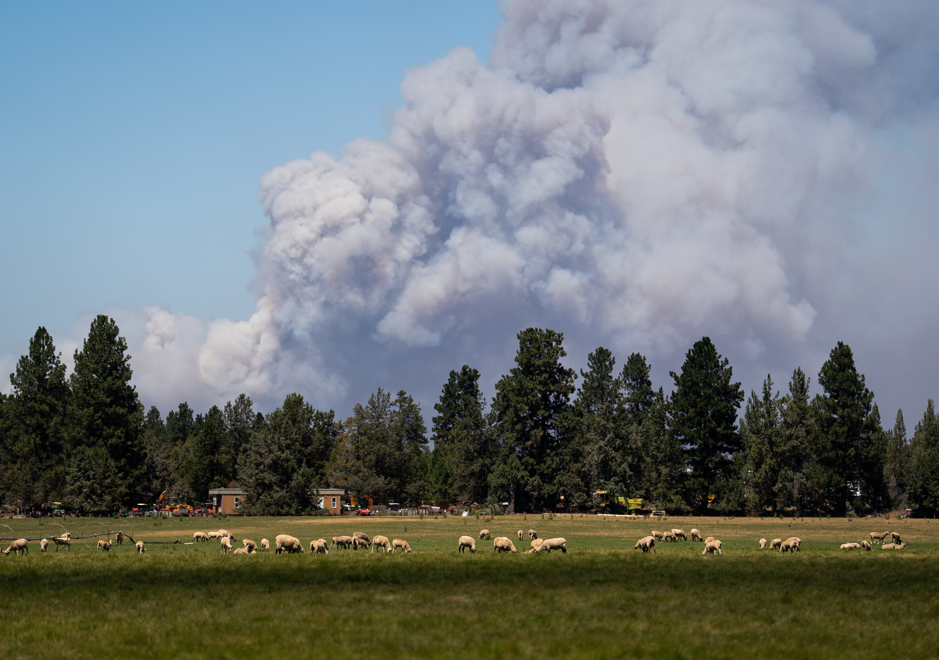 Gov. Kotek seeks federal aid for Oregon farmers, ranchers caught in throes of wildfires