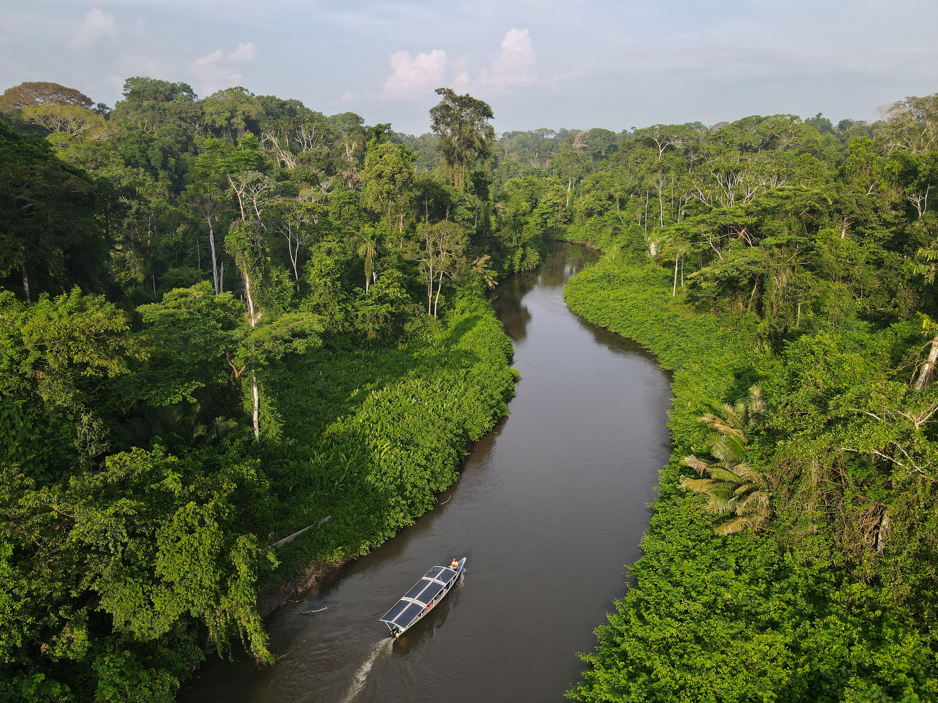 Why solar-powered canoes could be good for the future of the   rainforest - OPB