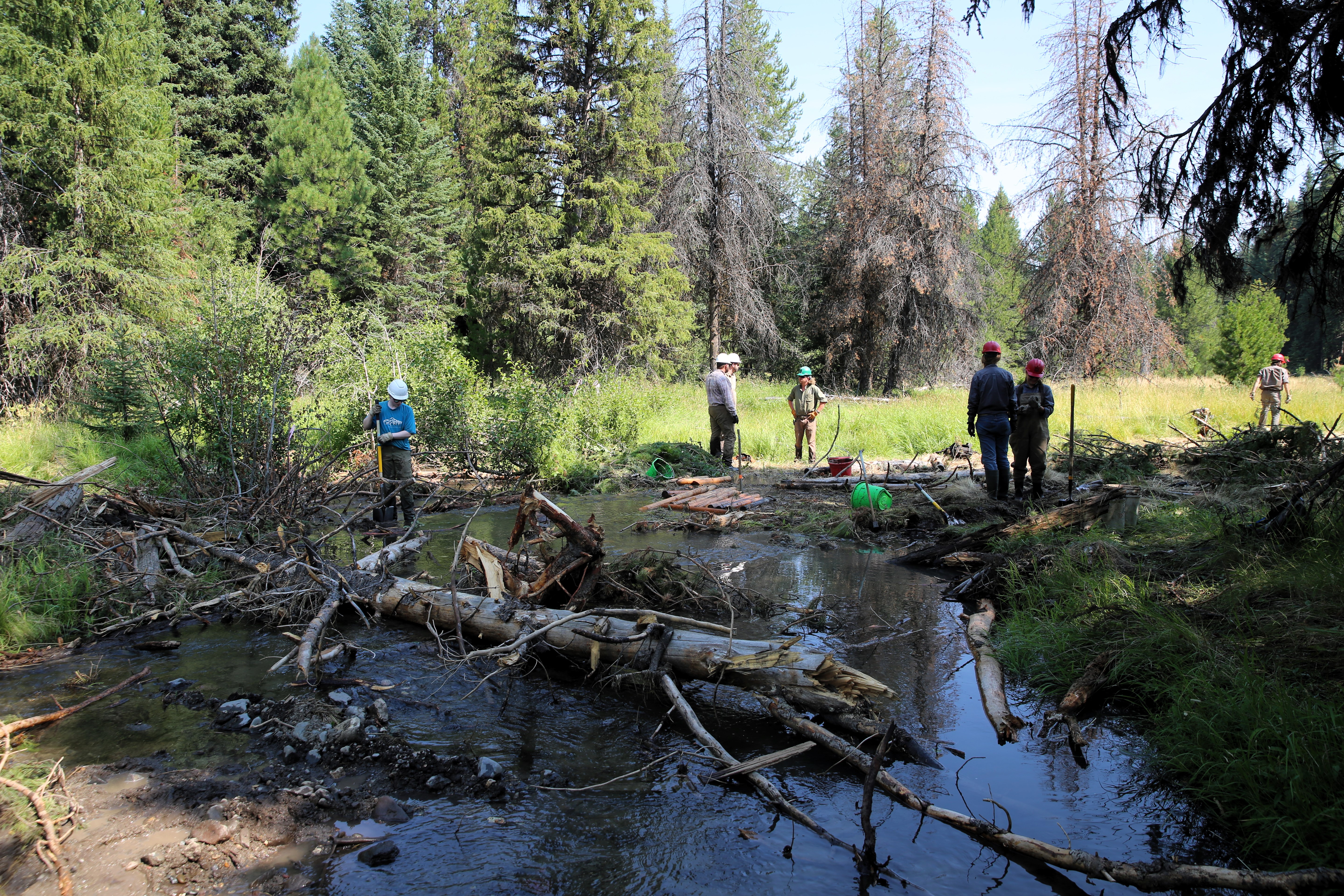 Members of Trout Unlimited Northeast Oregon Hand Crew repairs Sheep Creek, in the hope more migrating salmon will be able to return.