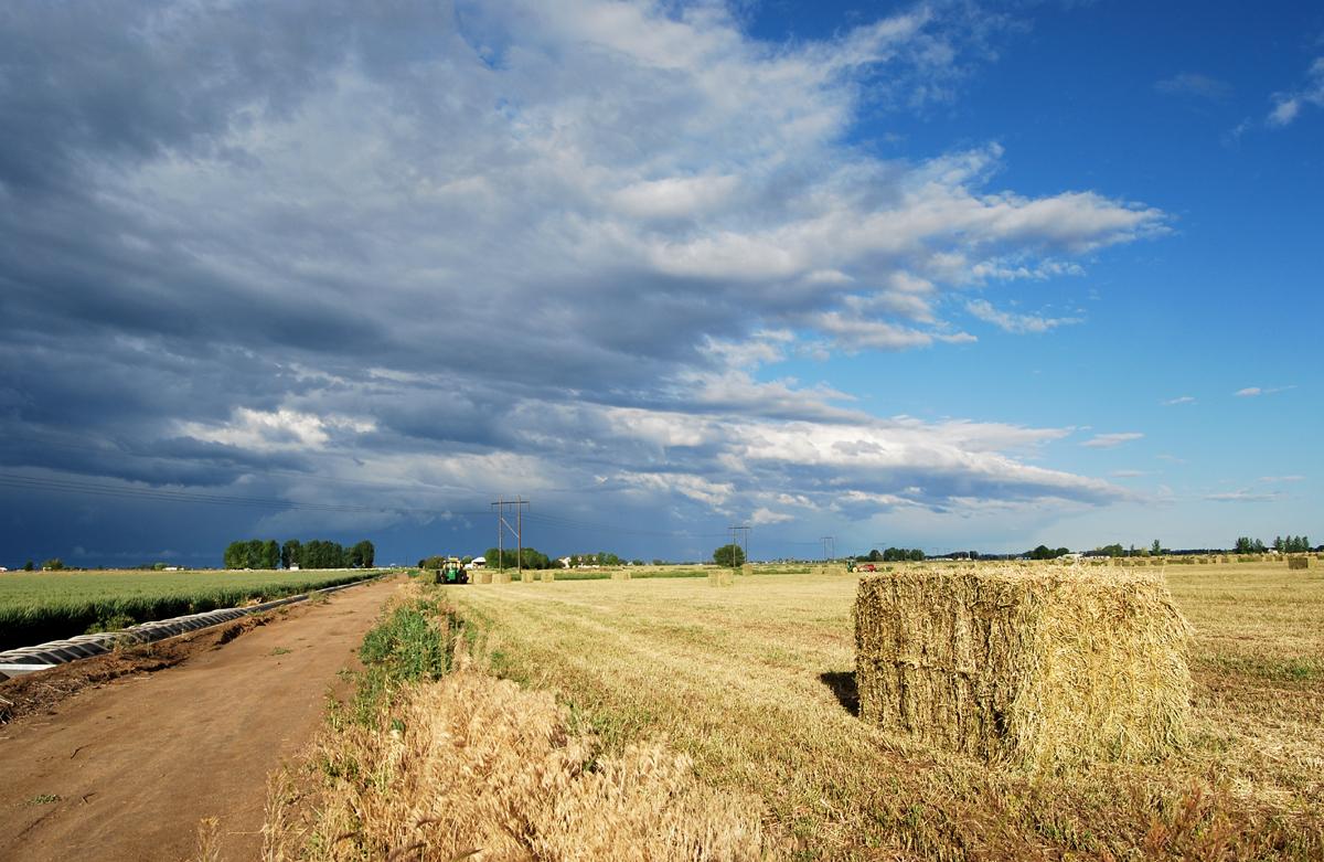 Some Eastern Oregon Farms Run Out Of Water - OPB