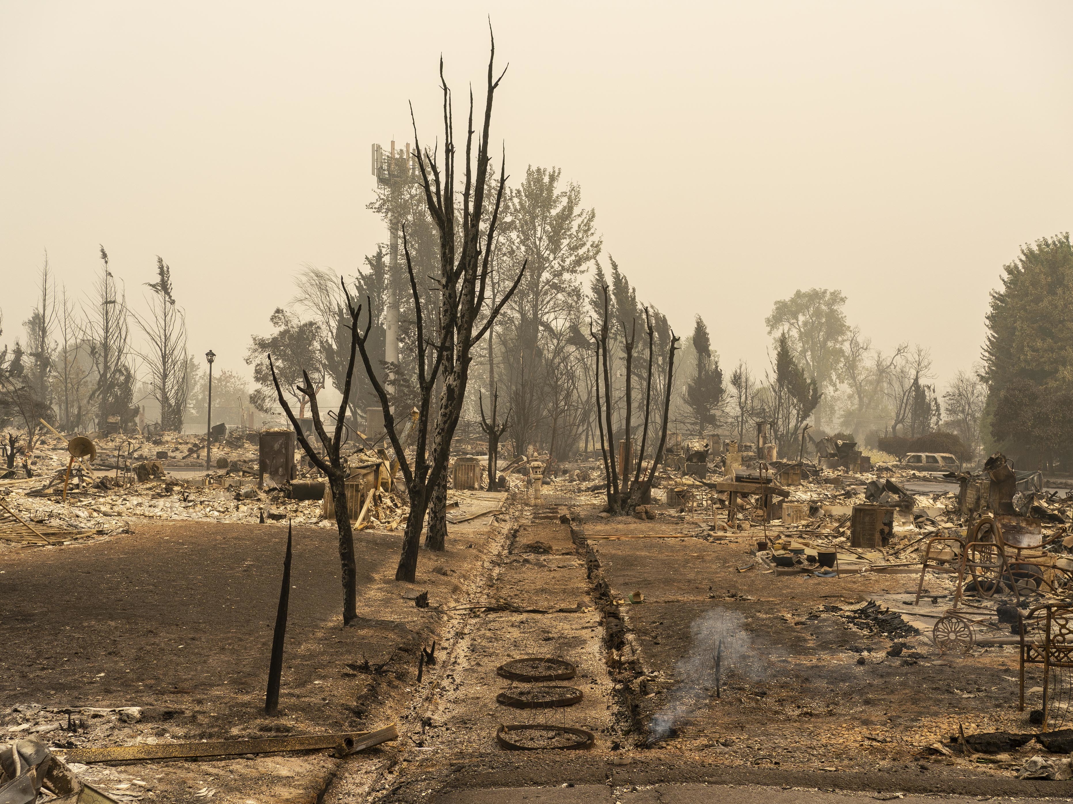 Image result for wildfire damage
