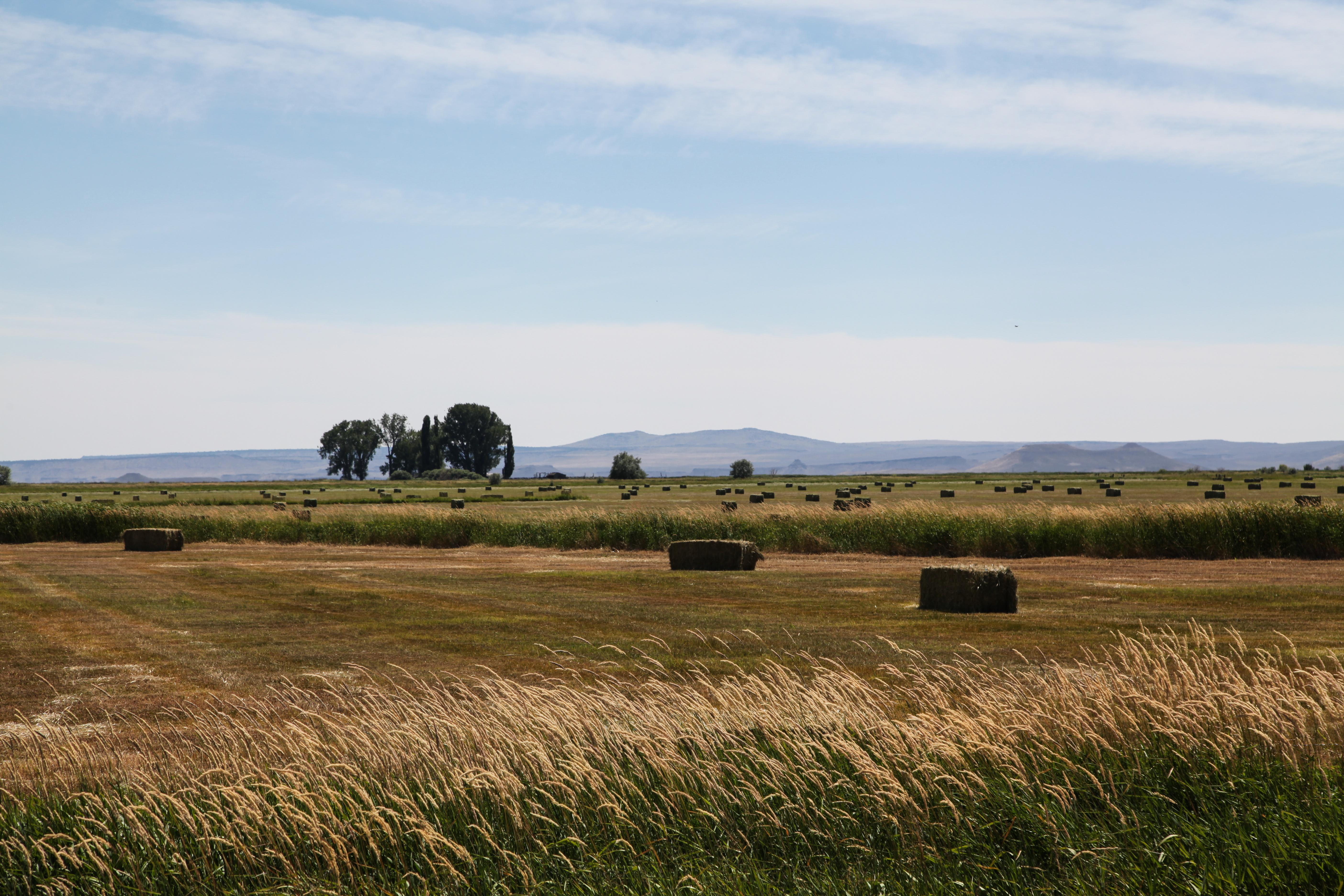 A view from the Malheur National Wildlife Refuge in Eastern Oregon.