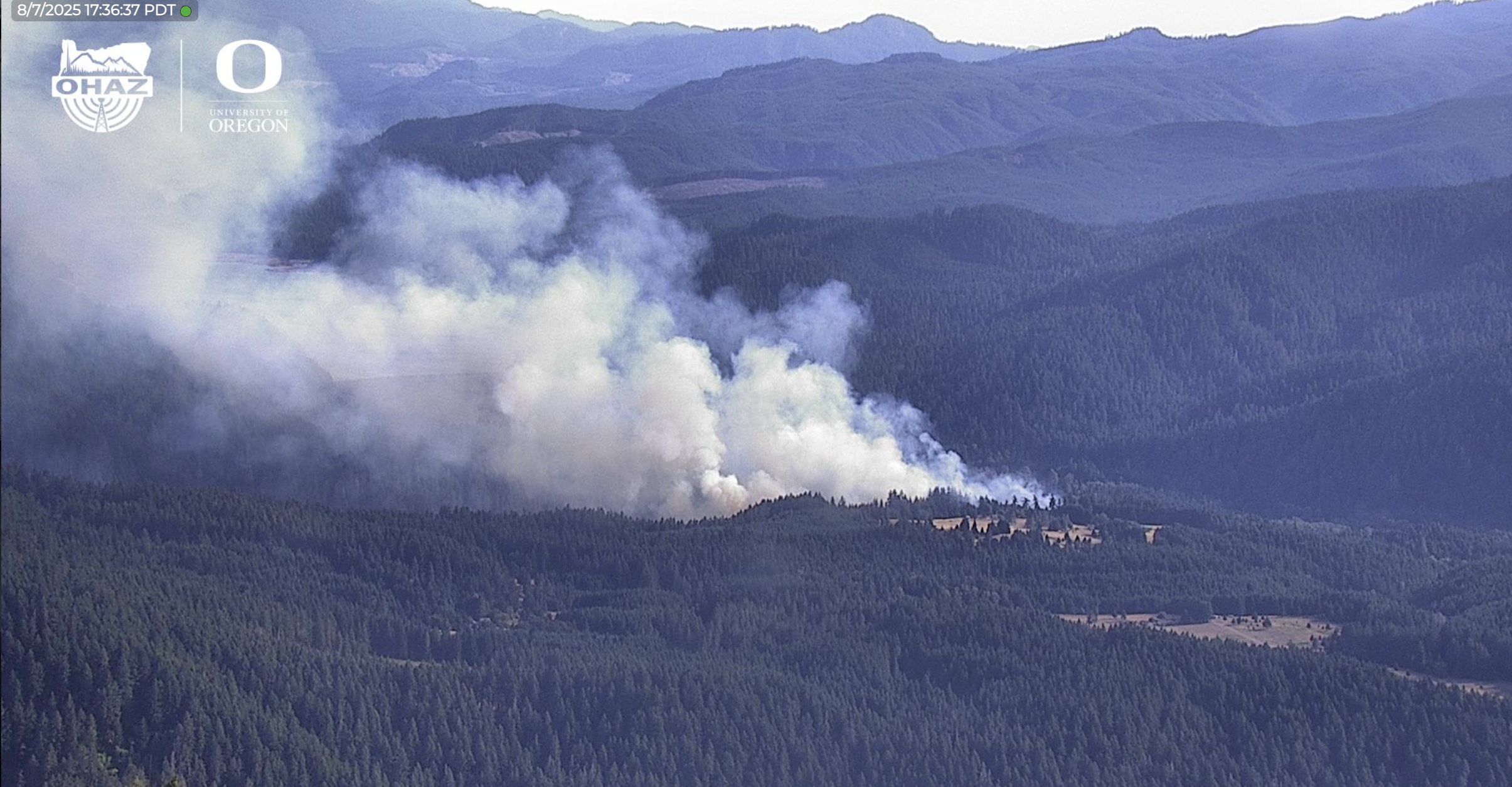 A picture from an Oregon Hazards Lab wildfire detection camera shows a vegetation fire burning east of Oakridge on Aug 7.