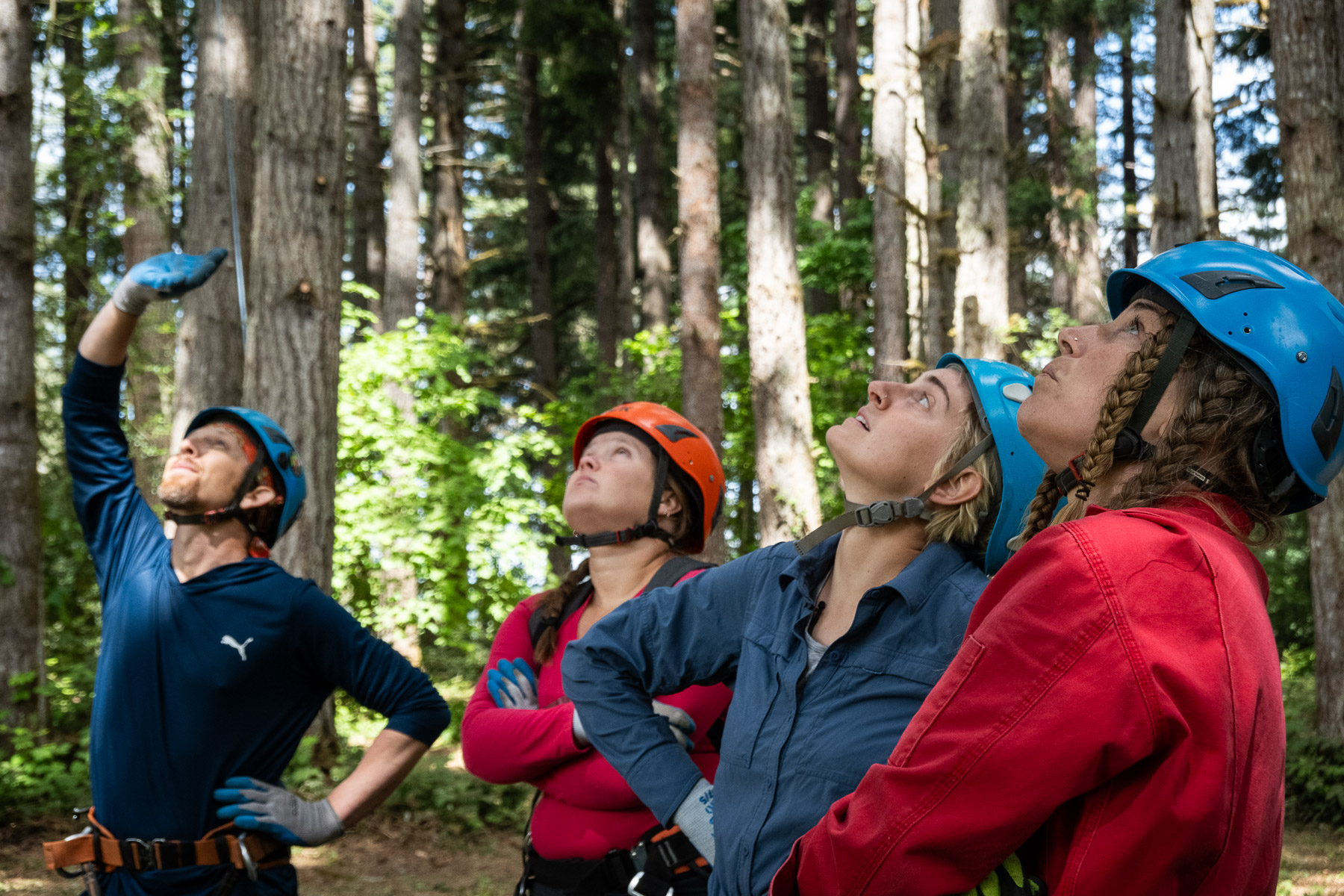 Oregon's aspiring tree climbers reach new heights - OPB