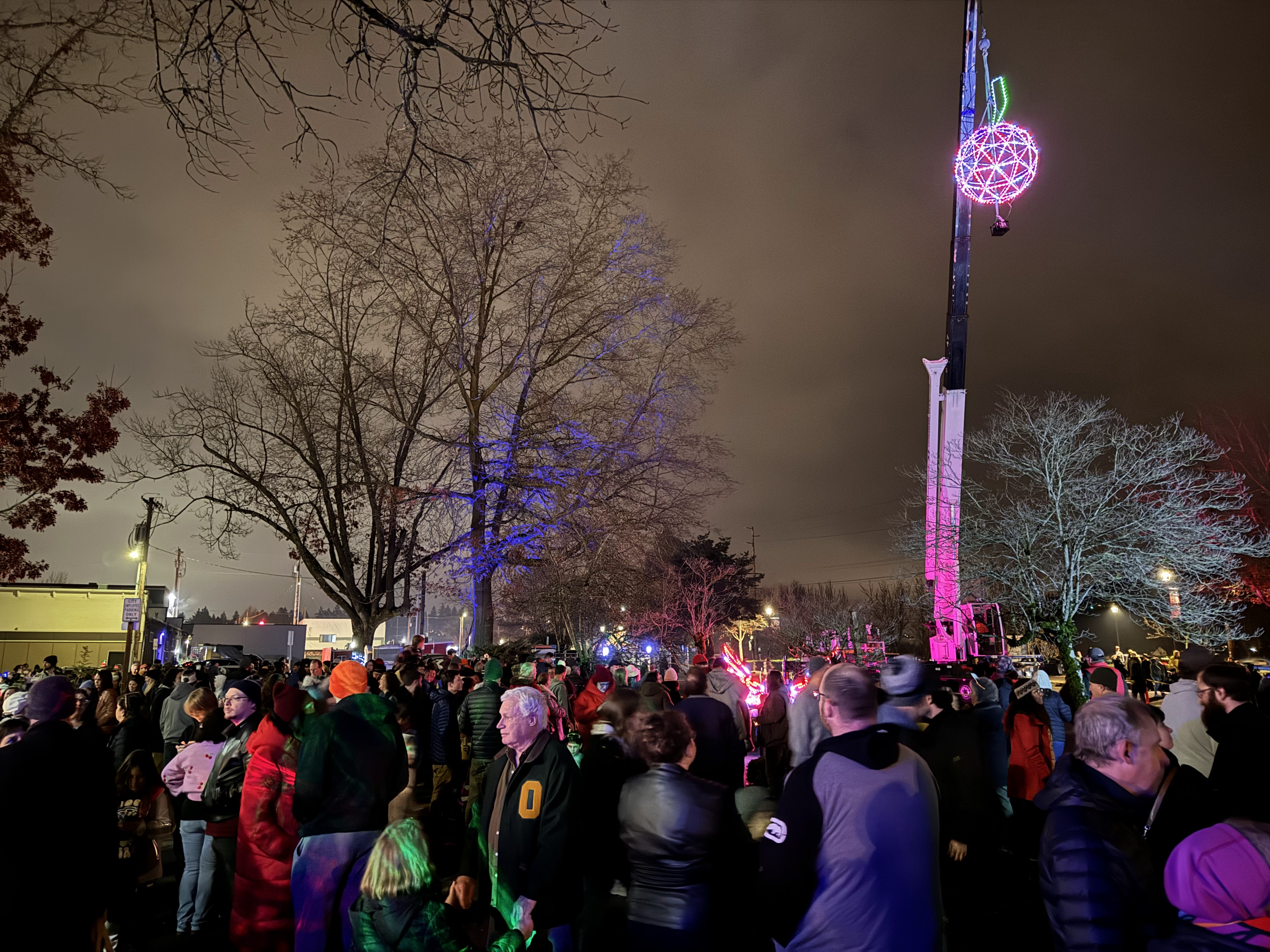 邦楽 ANOTHER NEW YEAR Homecomings Photos: Celebrating Lunar New Year in Chicago – Chicago Tribune
