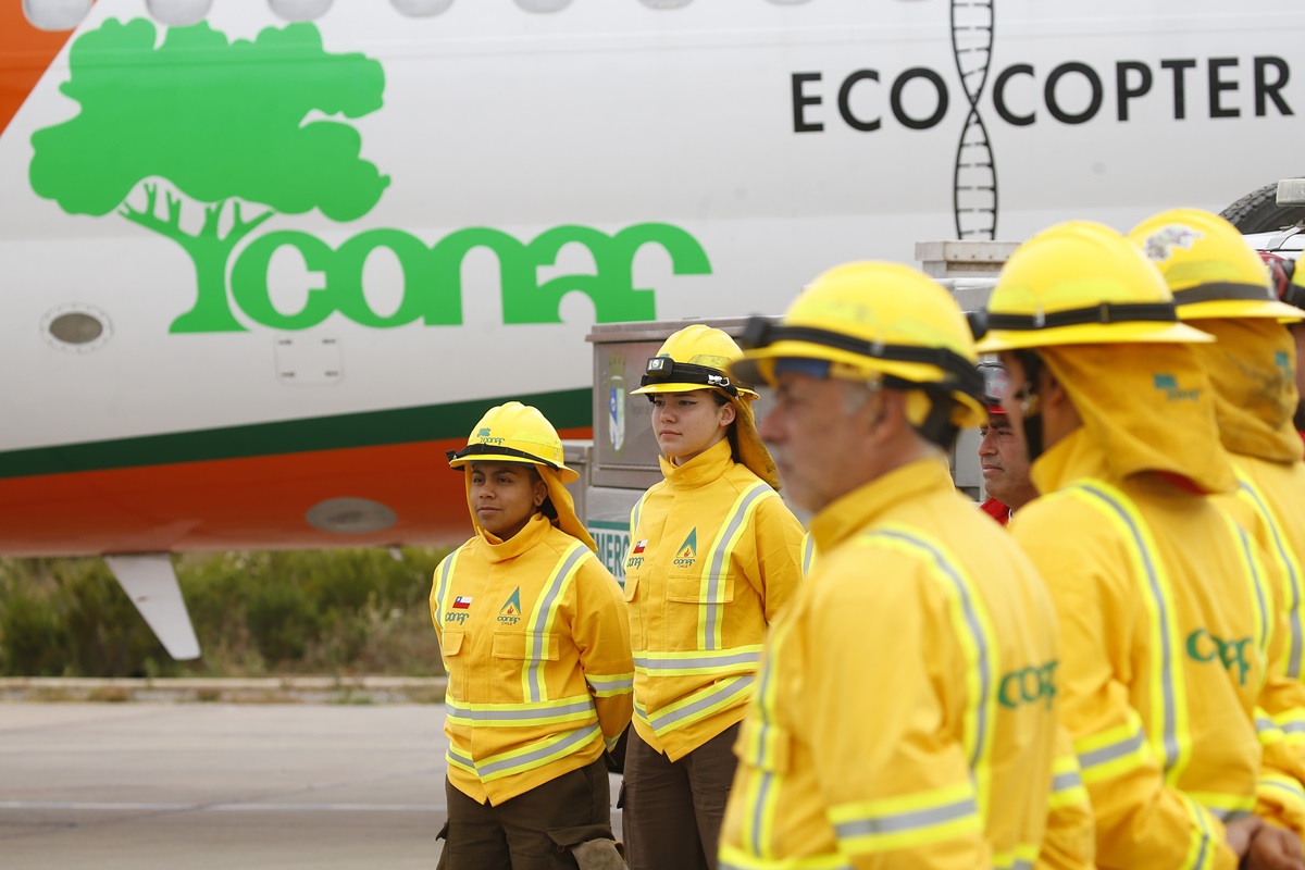 Quién era Fernando Solans Robles, el piloto fallecido tras accidente de  avioneta de CONAF | En Cancha