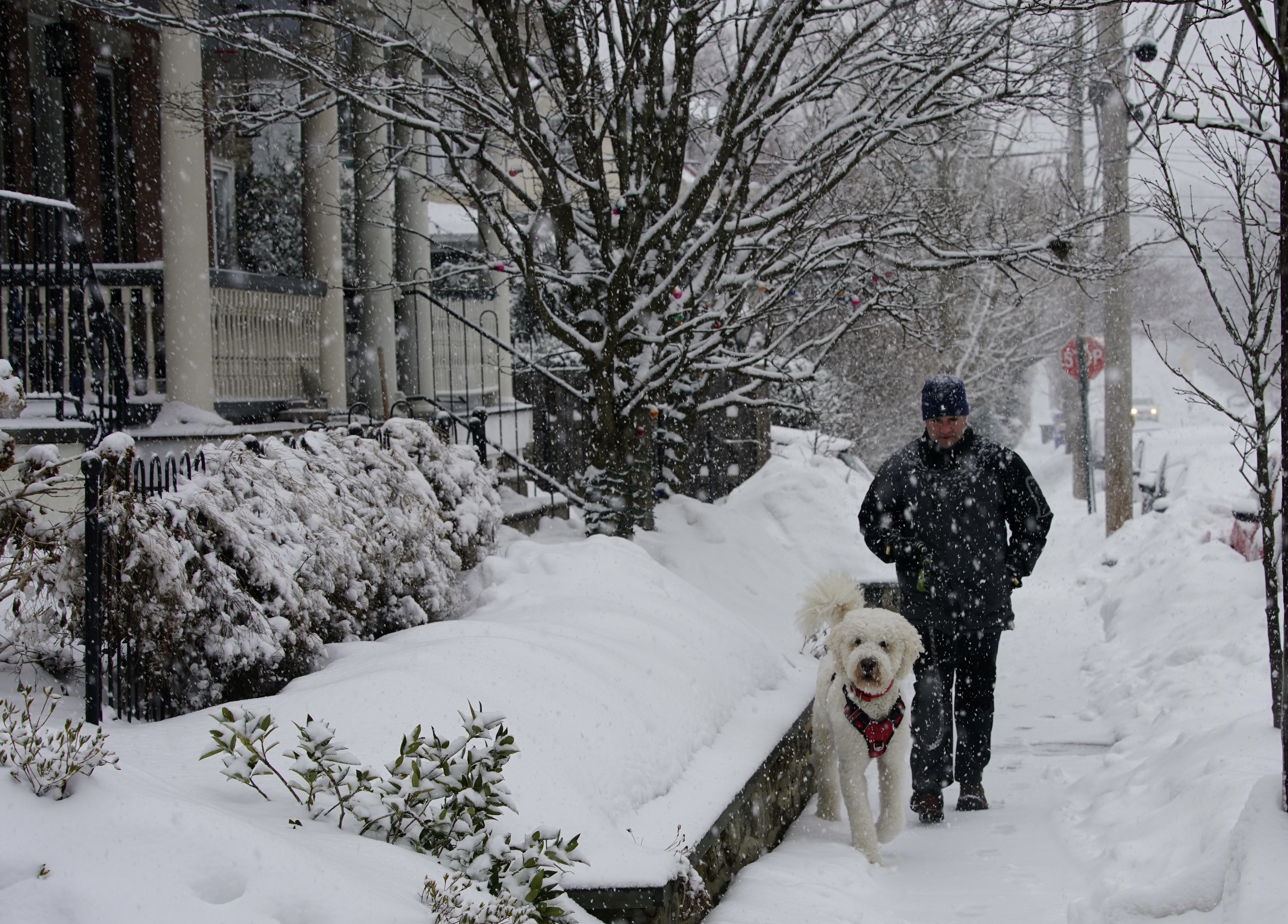 The 2021-22 winter forecasts are in. What they say for snow, cold