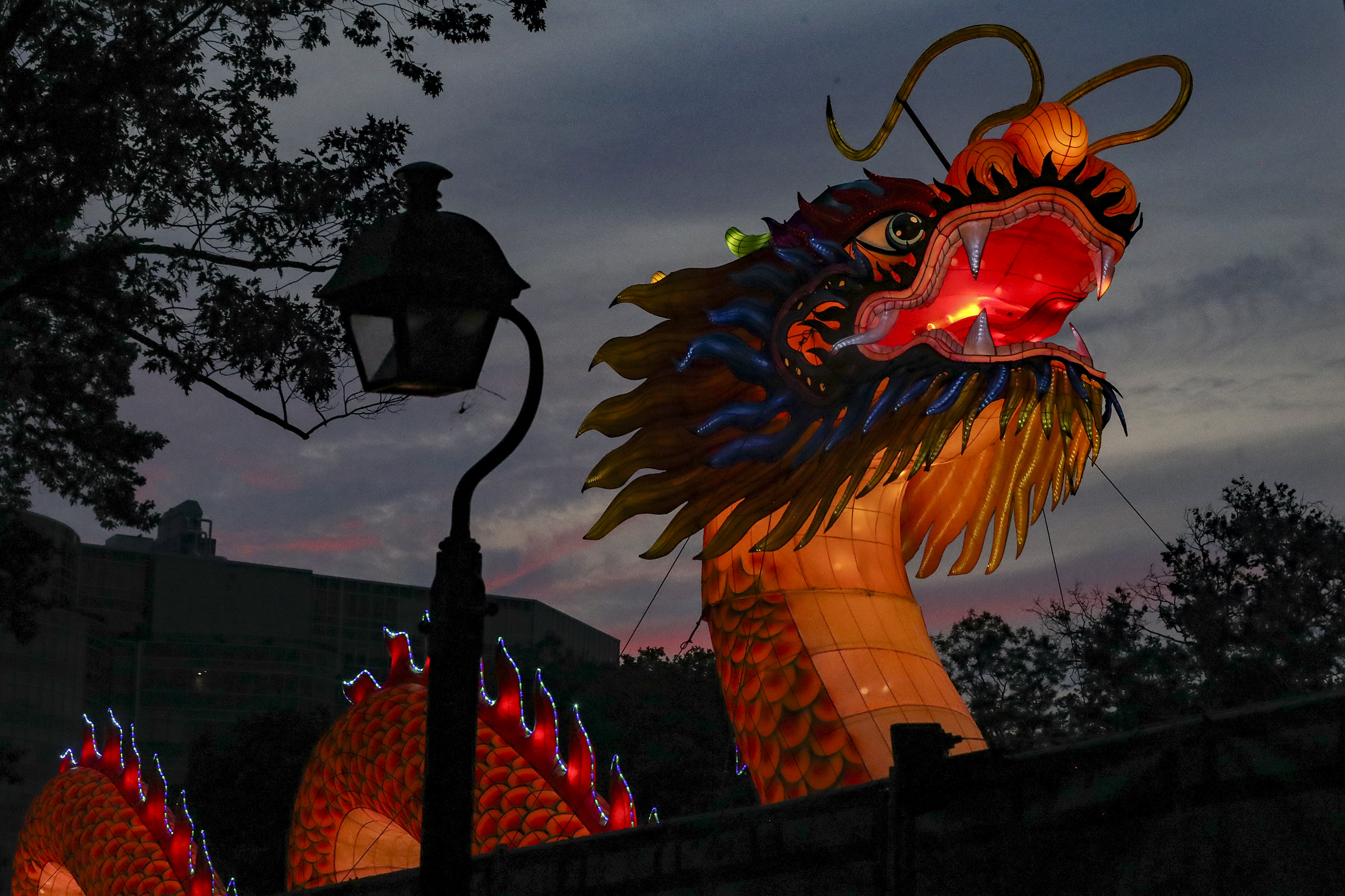 CHINESE LANTERN FESTIVAL - 773 Photos & 76 Reviews - 6TH And Race