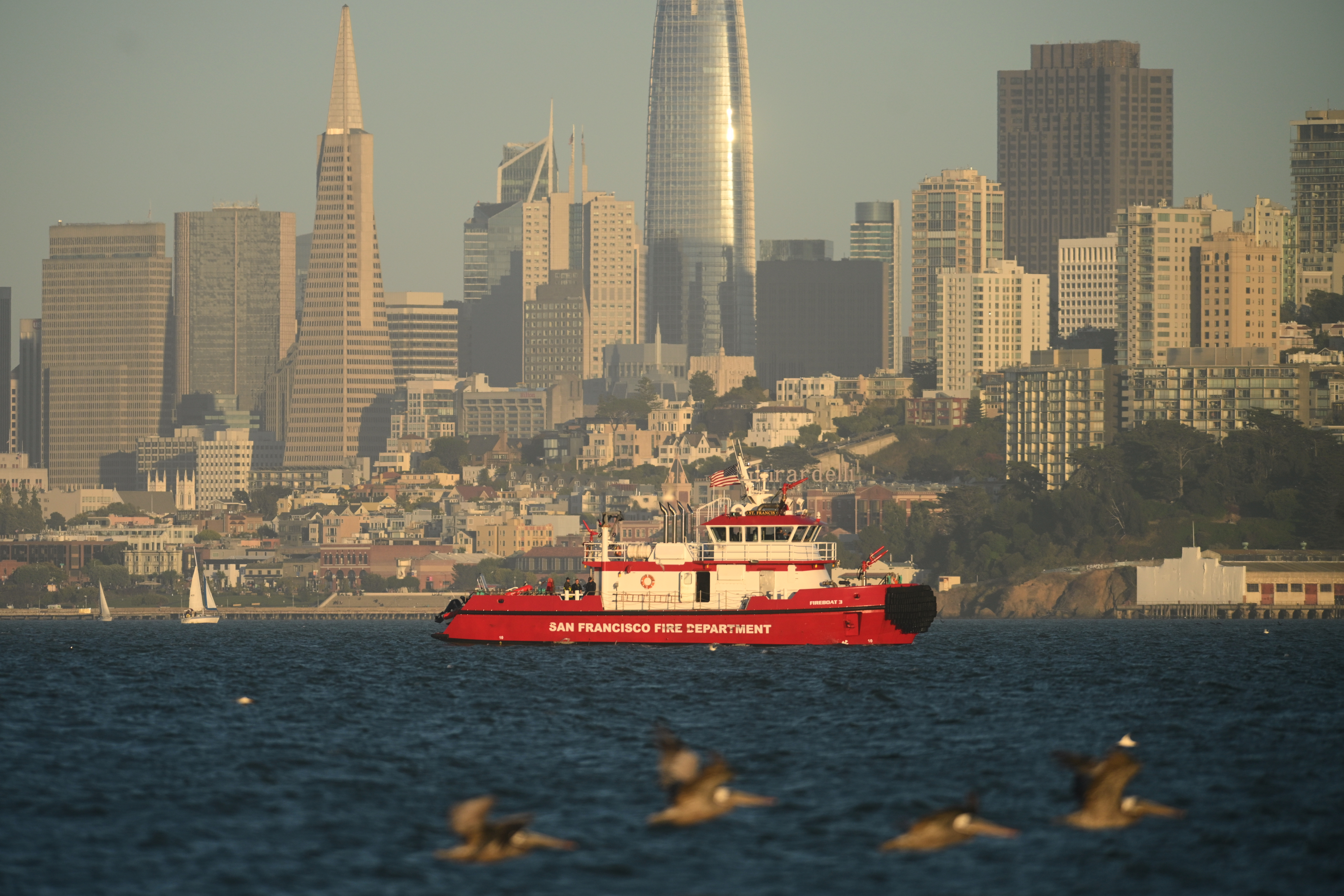 1 dead and 3 missing after boat sinks near Alcatraz Island