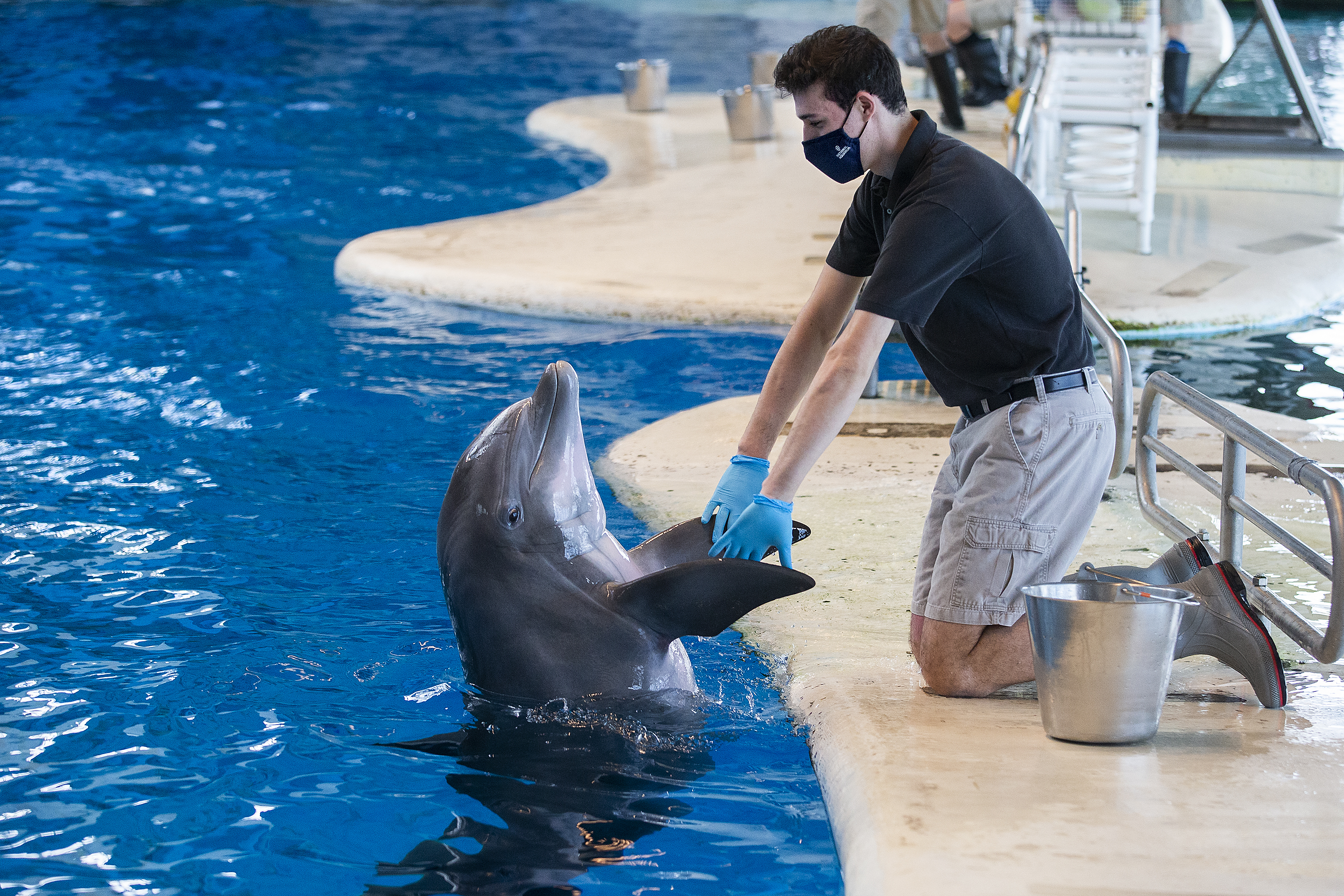 Swarthmore College basketball's Julian Levin trains dolphins at