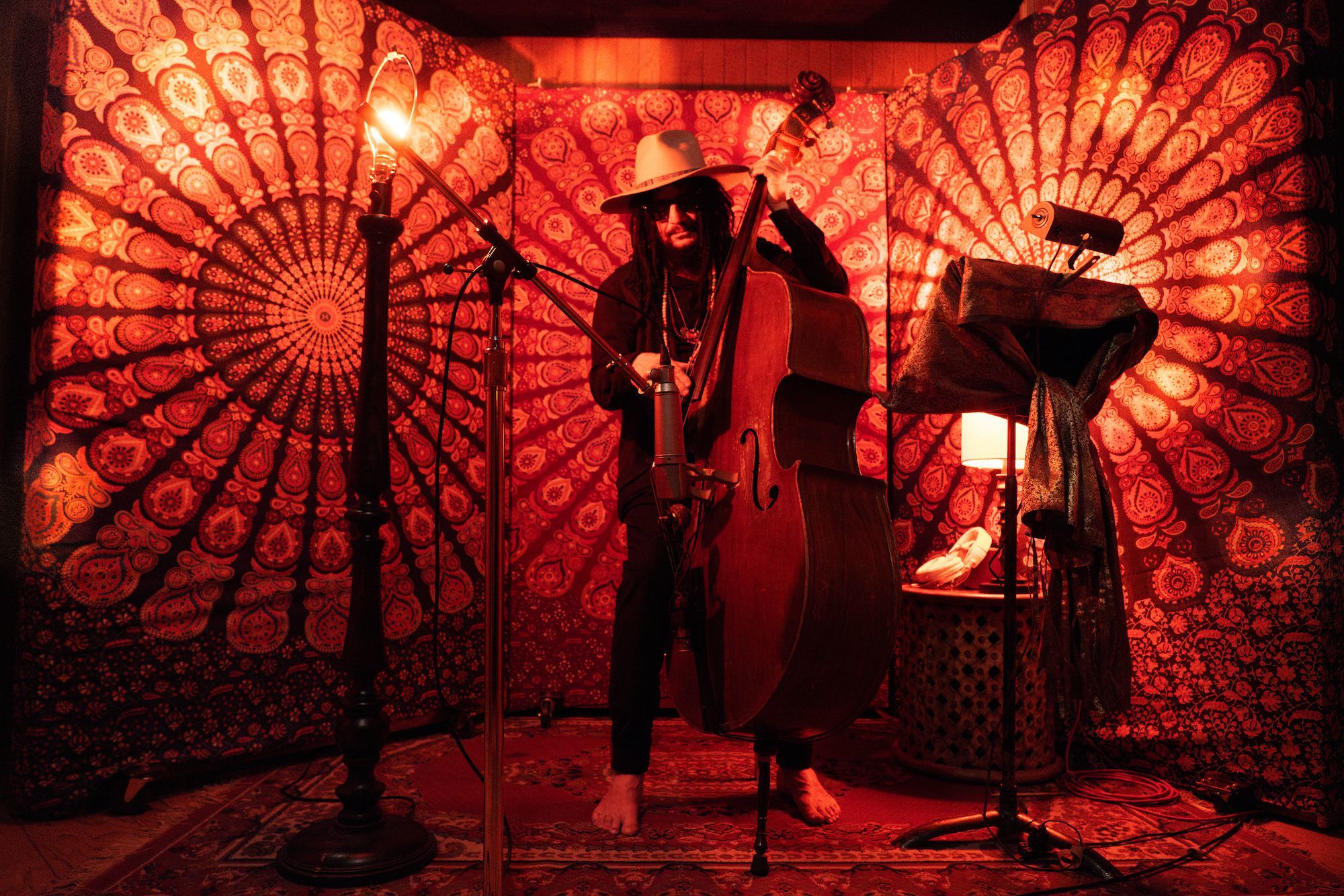 Walk the Dinosaur' hitmaker Don Was will be playing a Grateful