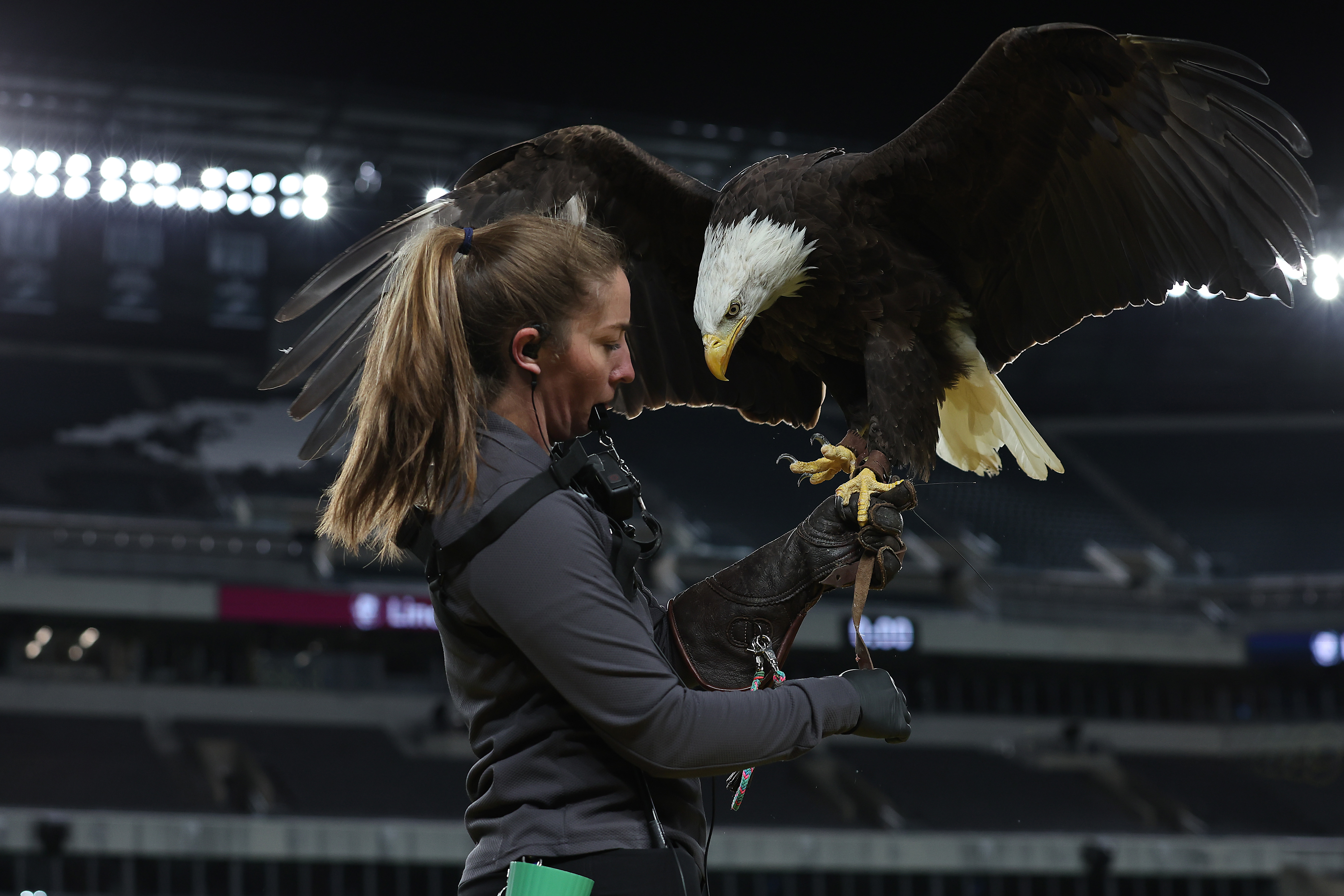 Philly favorite Lincoln the bald eagle stars in Budweiser Super Bowl ad