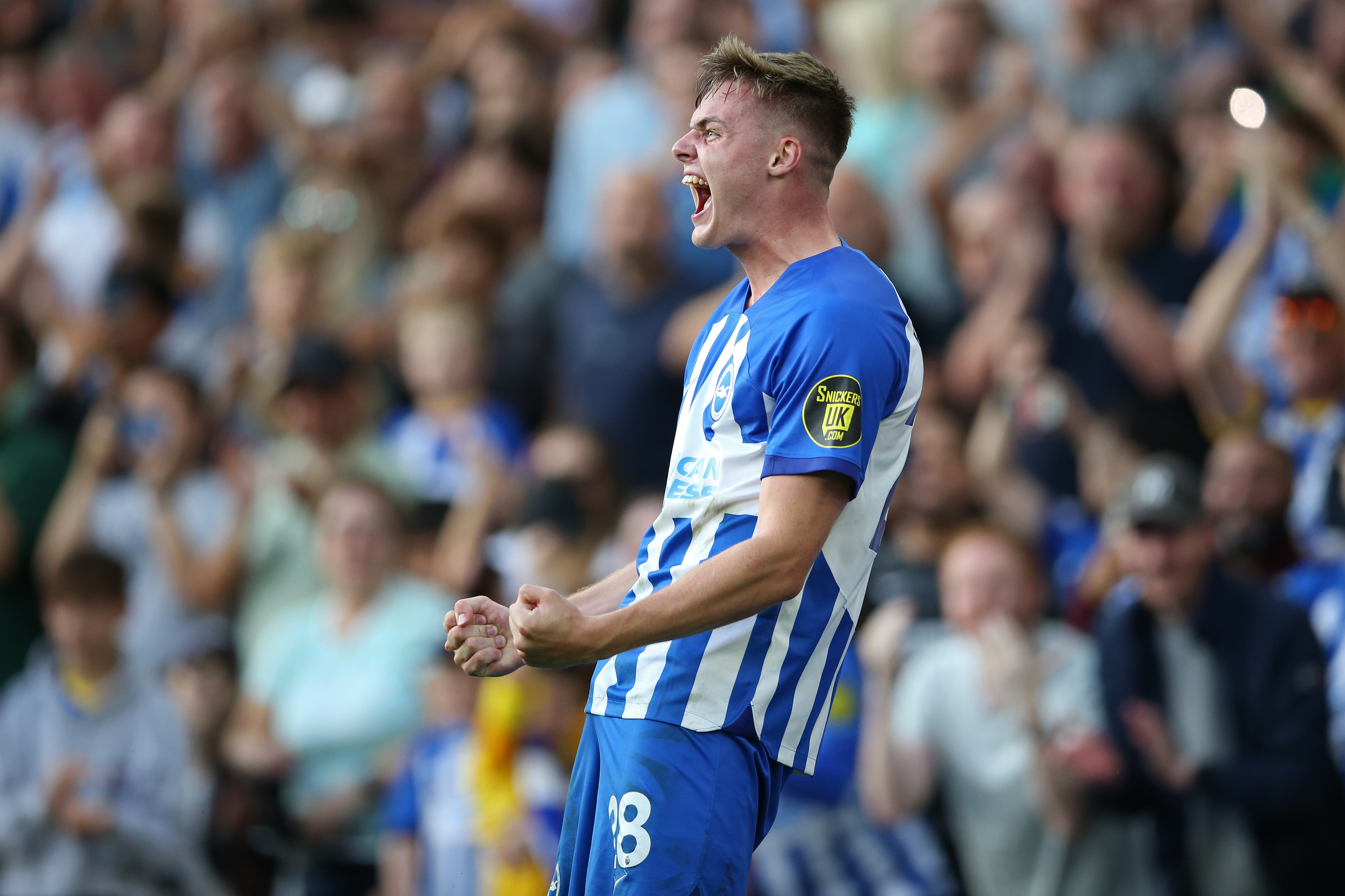 Newcastle United - Betting odds for Brighton