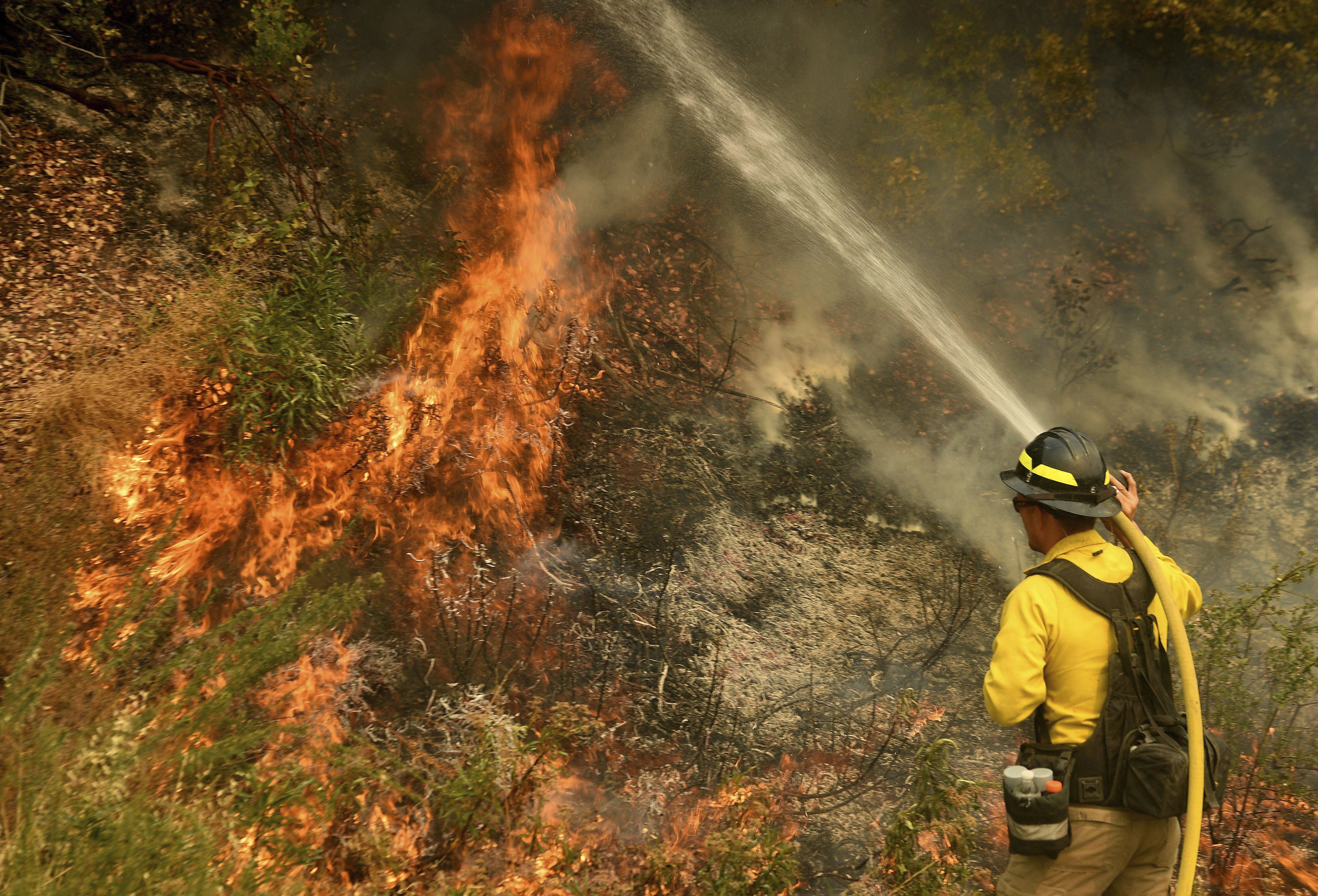 How to Help Fire-Ravaged California (and Oregon and Washington