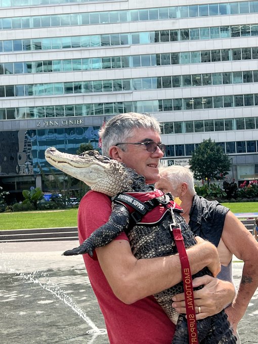 Philadelphia Phillies: Emotional support alligator Wally barred from  entering baseball stadium, but owner still hopes for happy ending