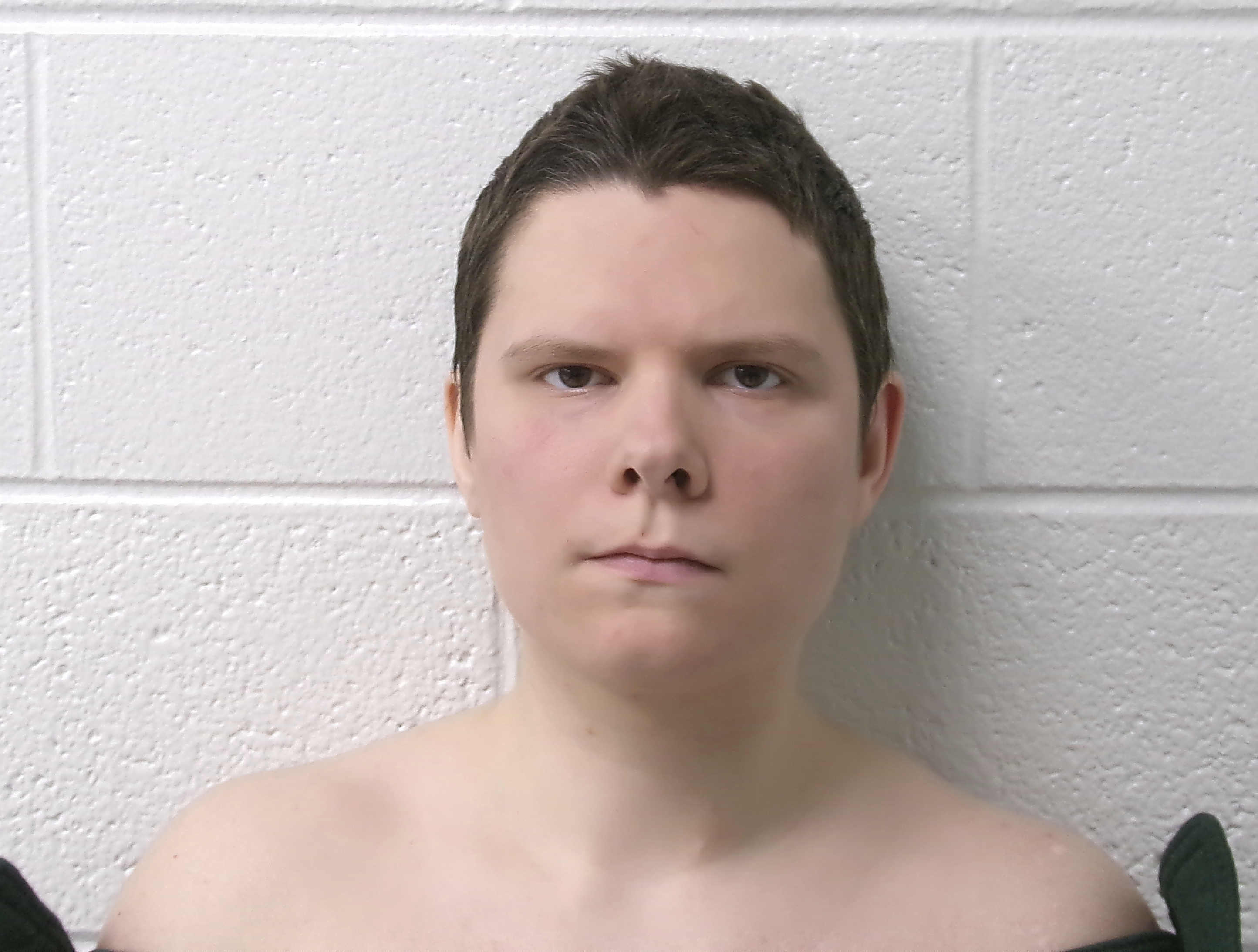 Michelle Zajko of Delco, linked to extremist group, denies killing