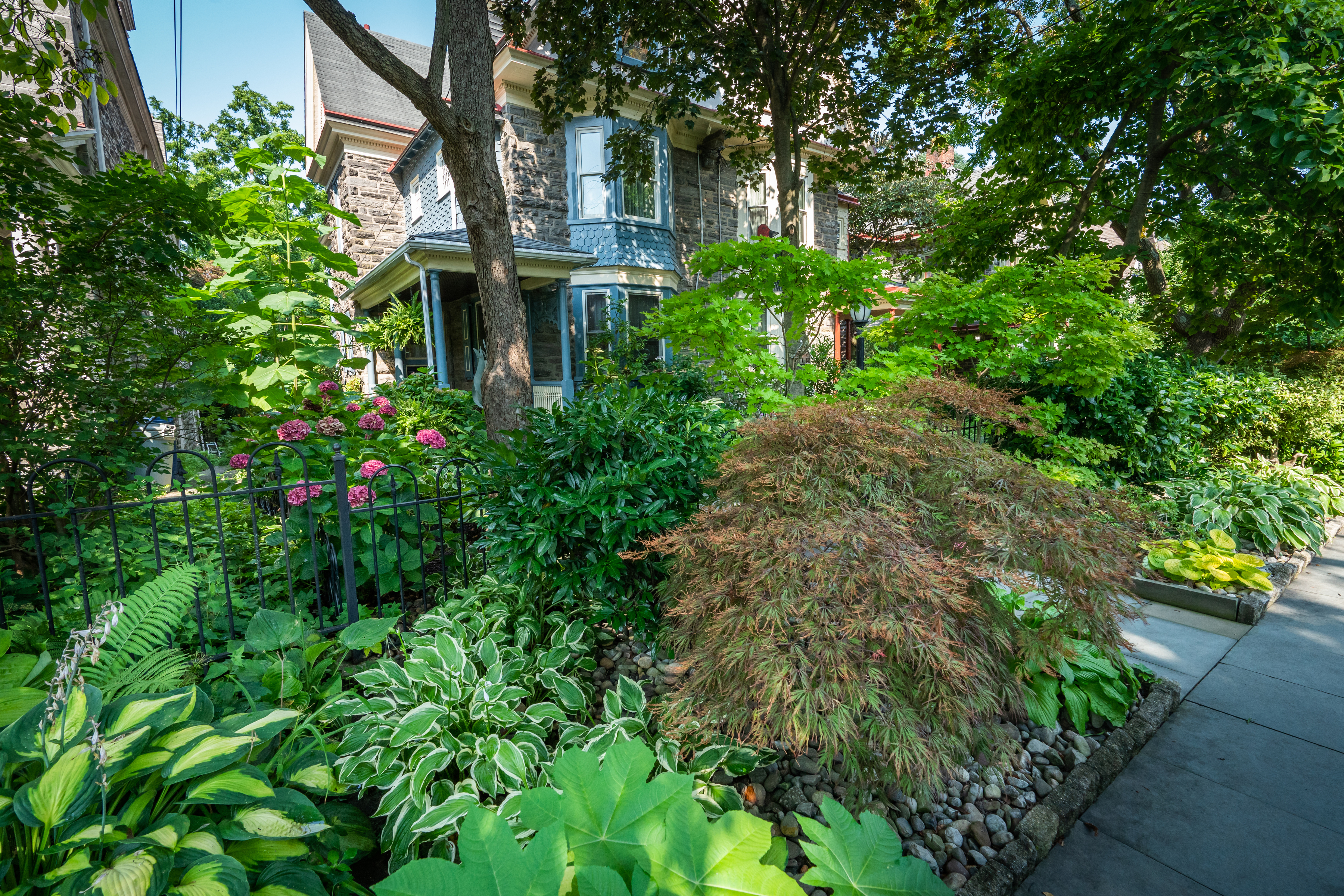 ※*！様 House on the Hill ParentPants Flowe Chestnut Hill garden with perennial hostas, flowers, quirky wooden