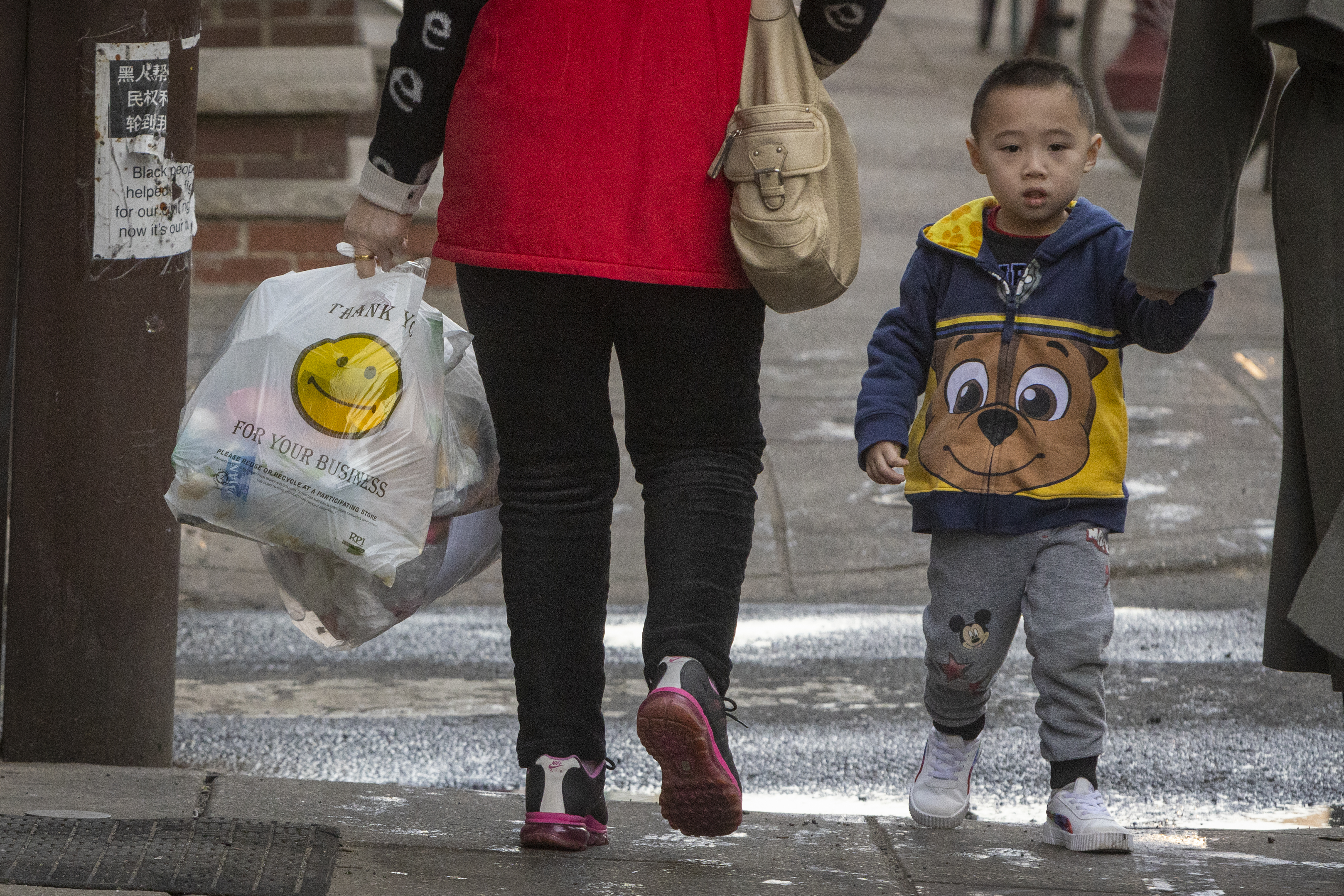 Plastic bag bans have already prevented billions of bags from being used,  report finds