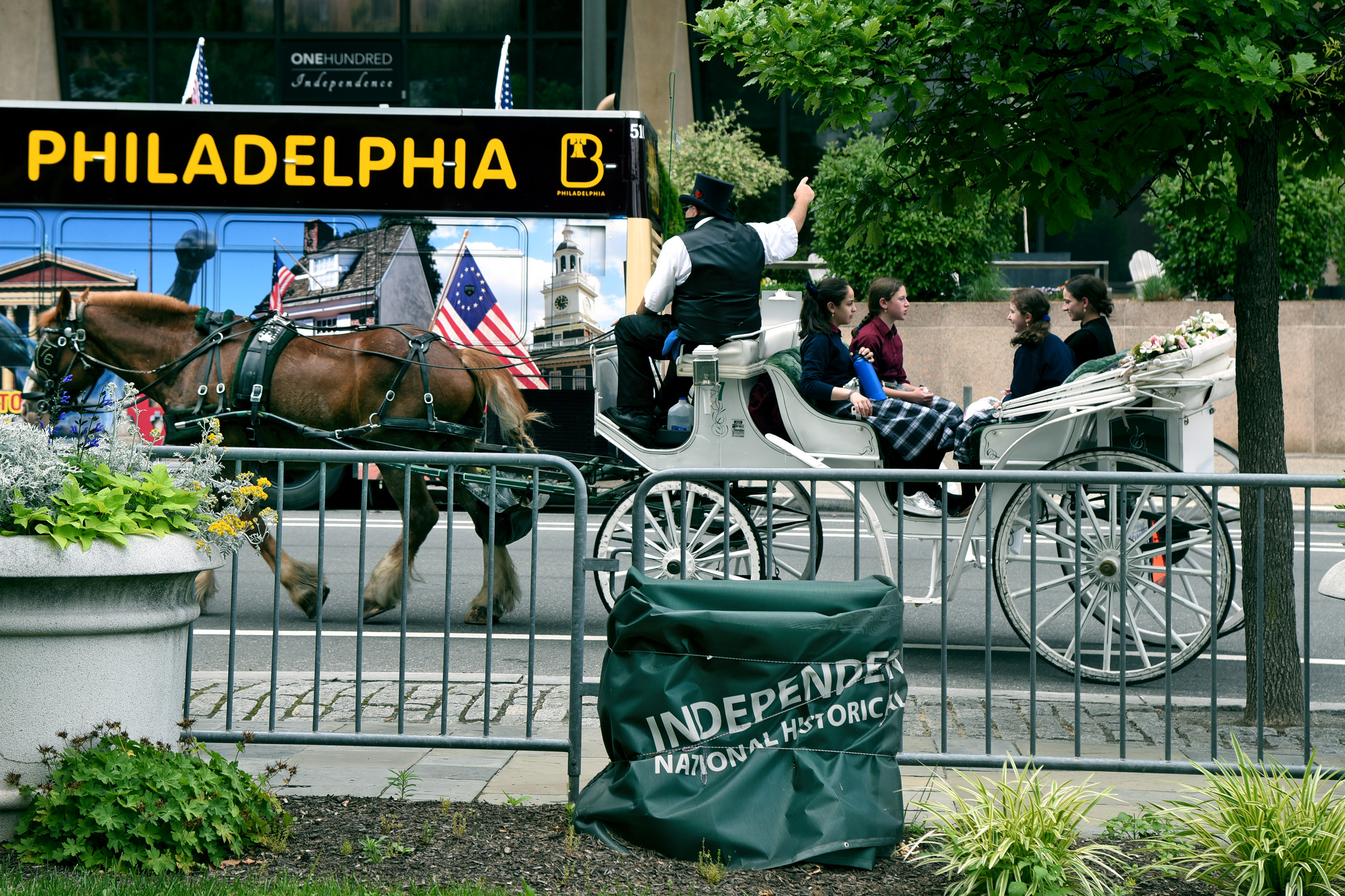 It's Beyond Time to Ban Horse-Drawn Carriages in New York City