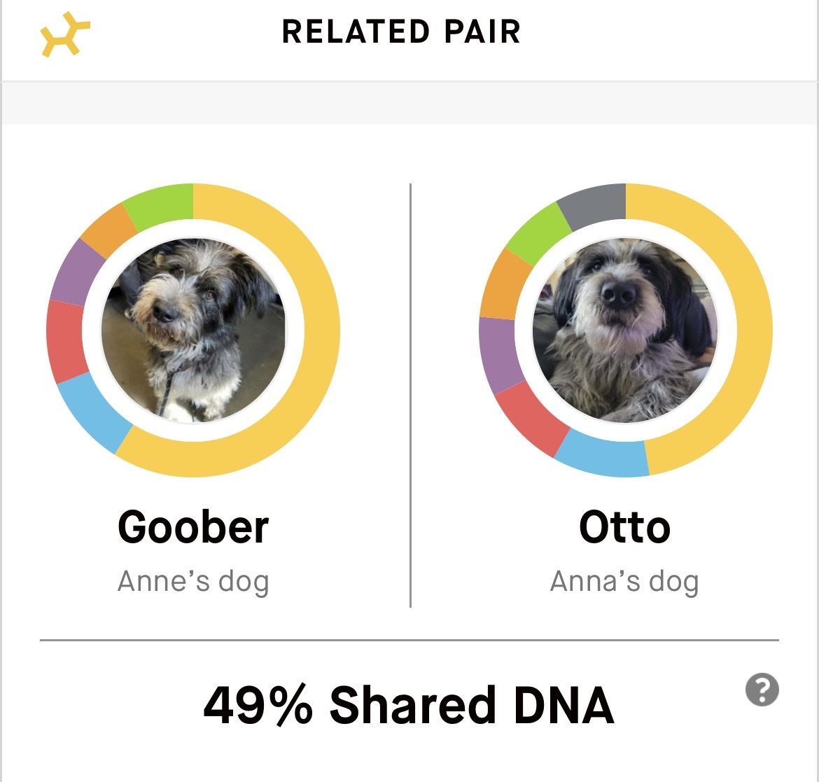 Dna report hot sale dog