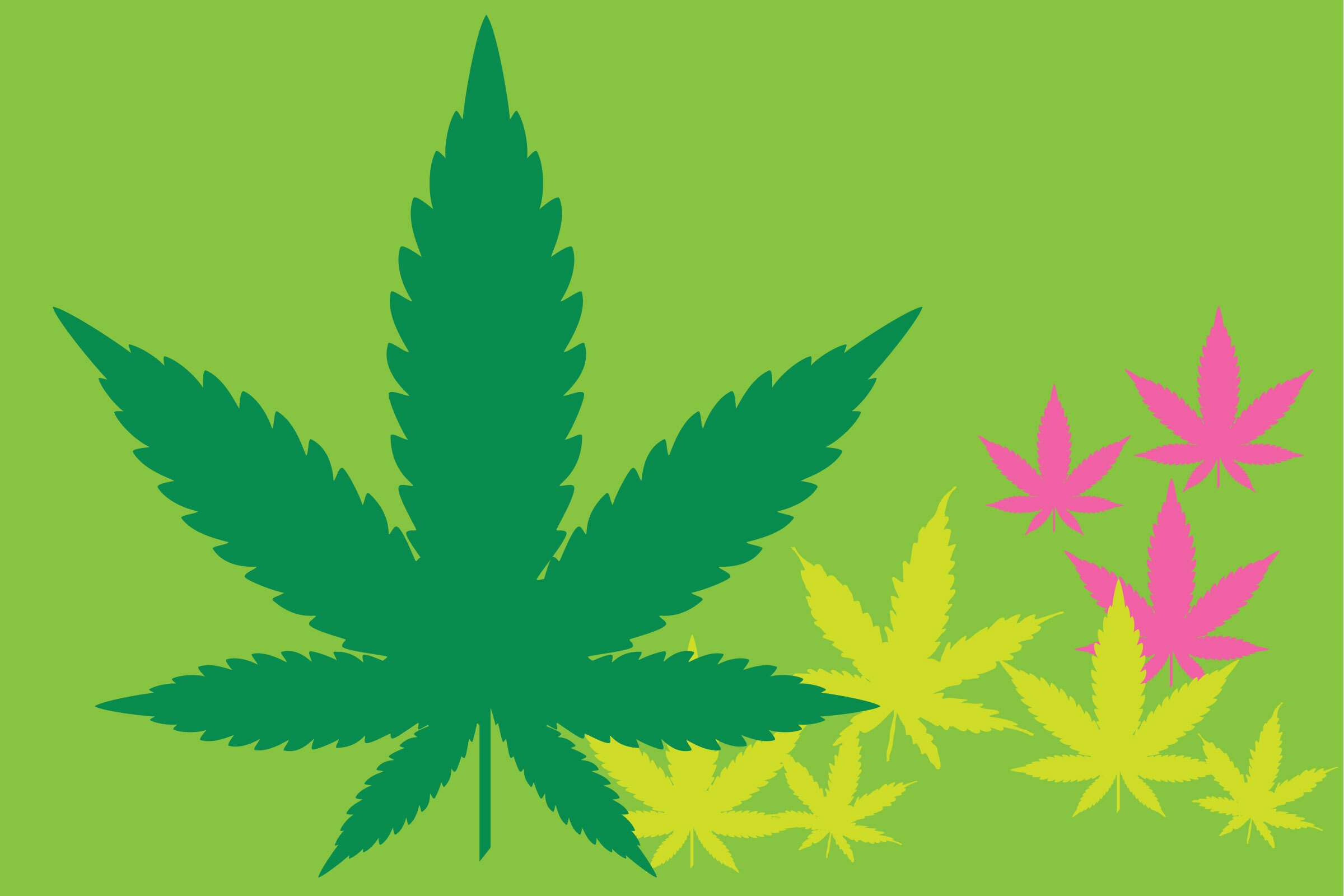 Everything you need to know about weed in Pennsylvania and New Jersey