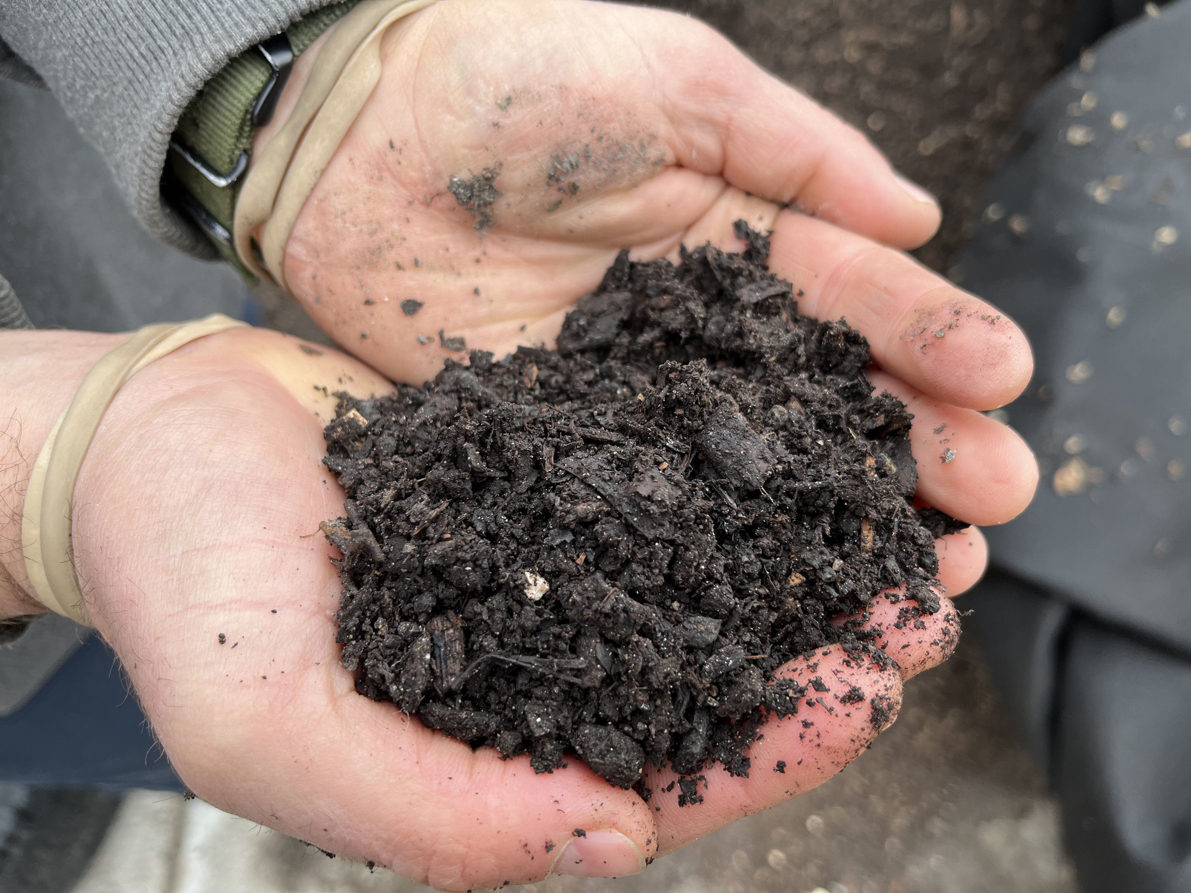 Best compost to use for which jobs