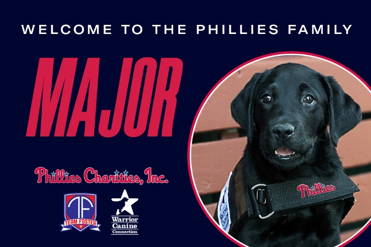 phillies dog major