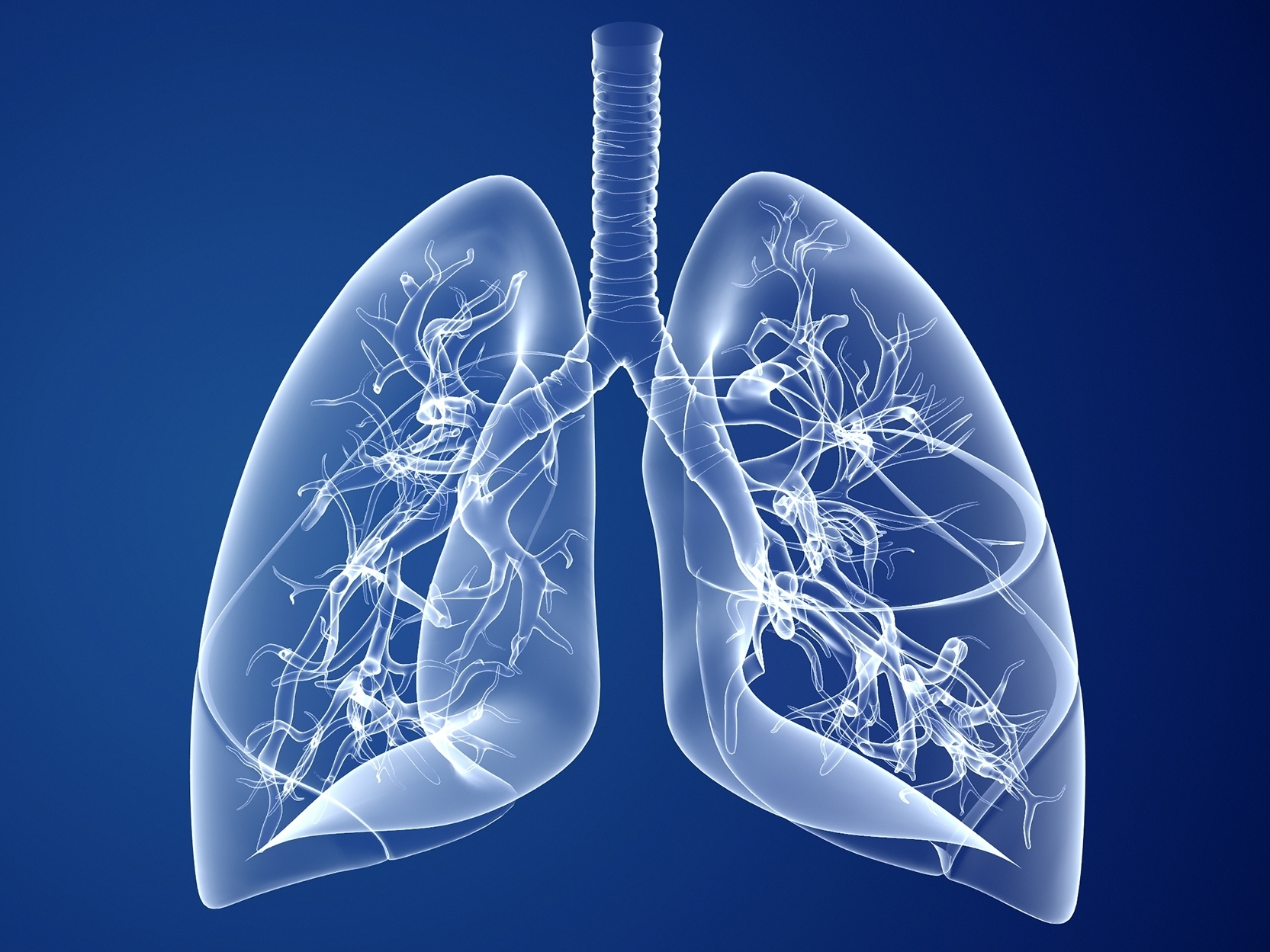What are the common symptoms and risk factors for COPD?