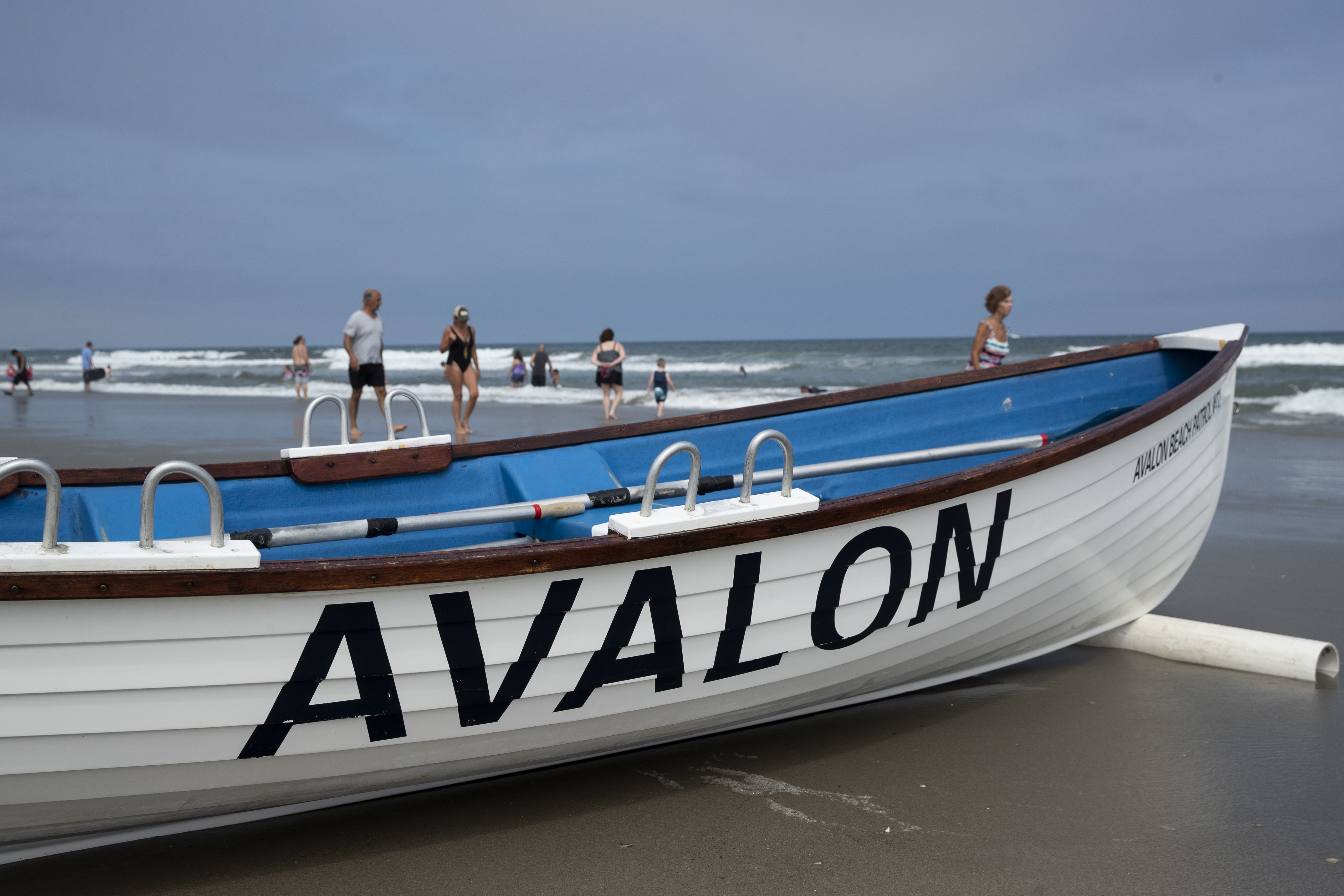 Dolphin found stranded on Avalon, NJ beach Sunday