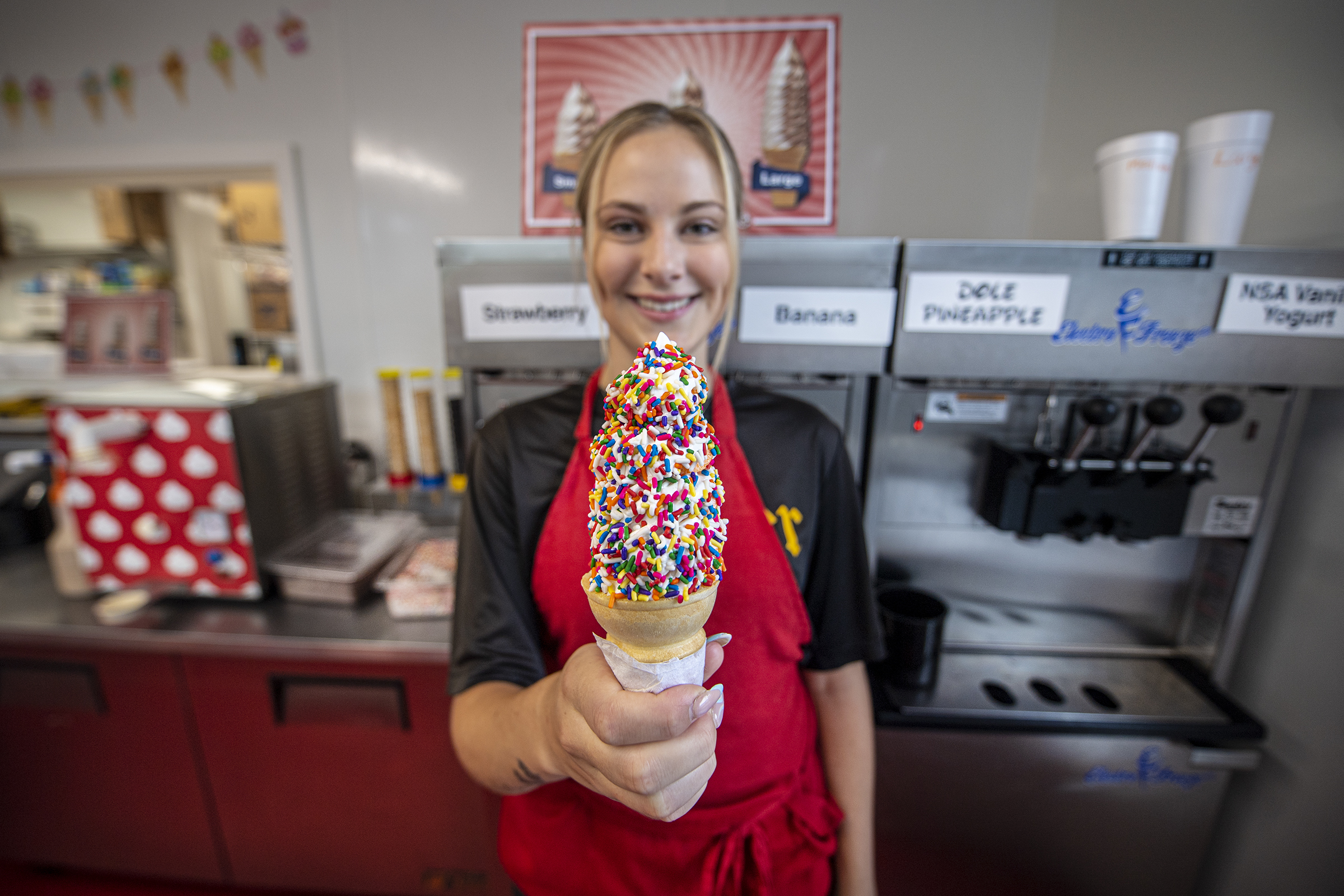 Strawberry-Banana Soft Serve - Baked In