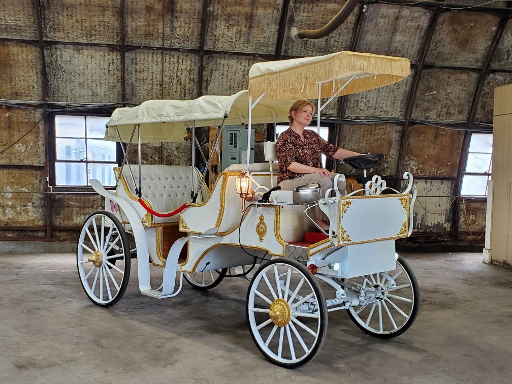 THE BEST New Orleans Horse-Drawn Carriage Tours (Updated 2023)