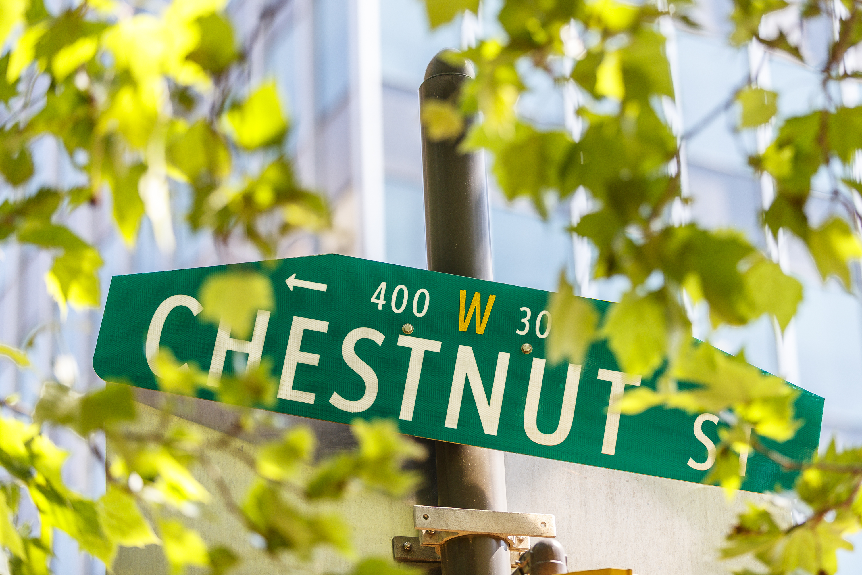 tree-lined-street-name