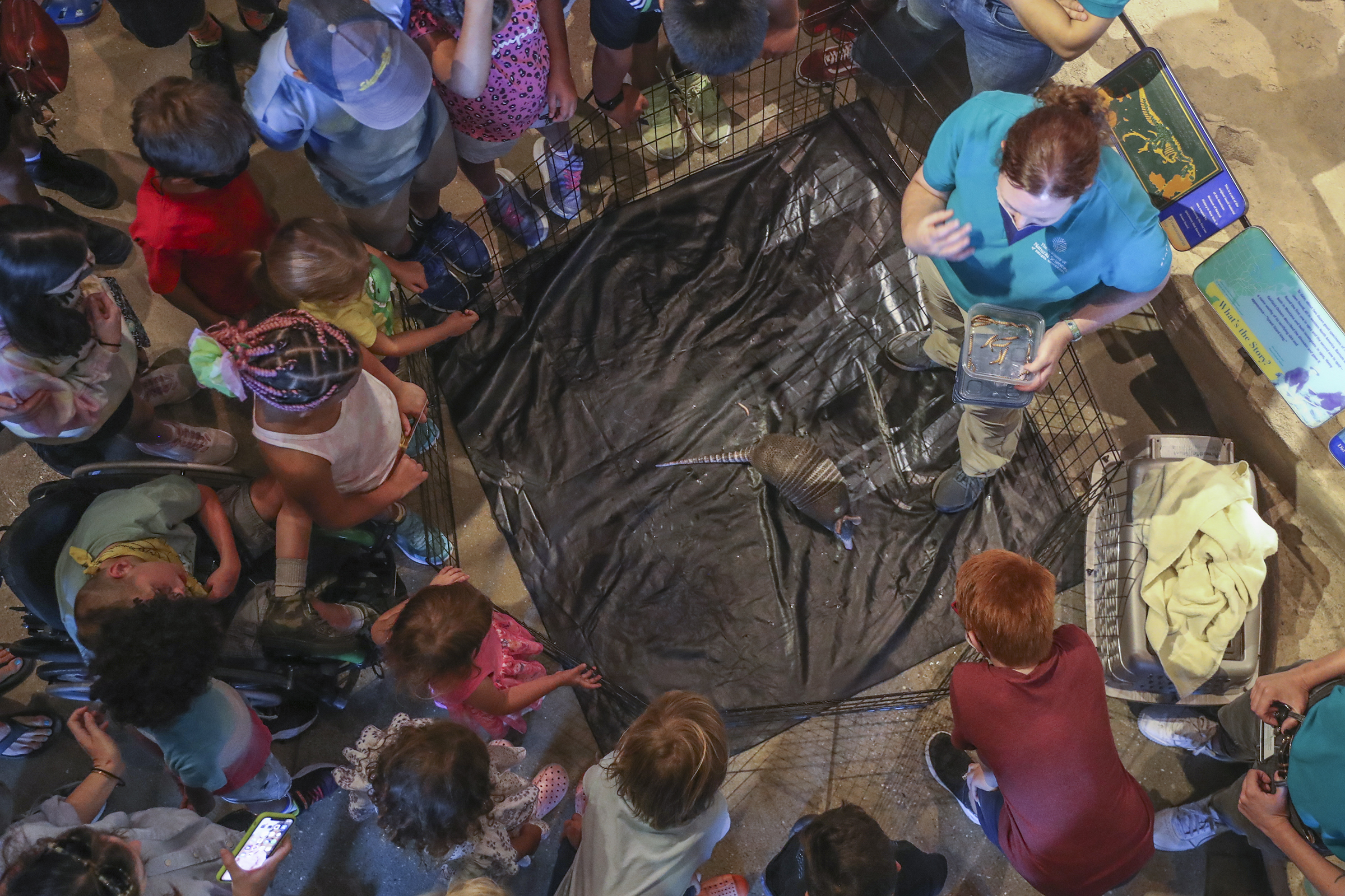 At Philly bug fest, bugs get love. Who knew a roach had 2 brains?