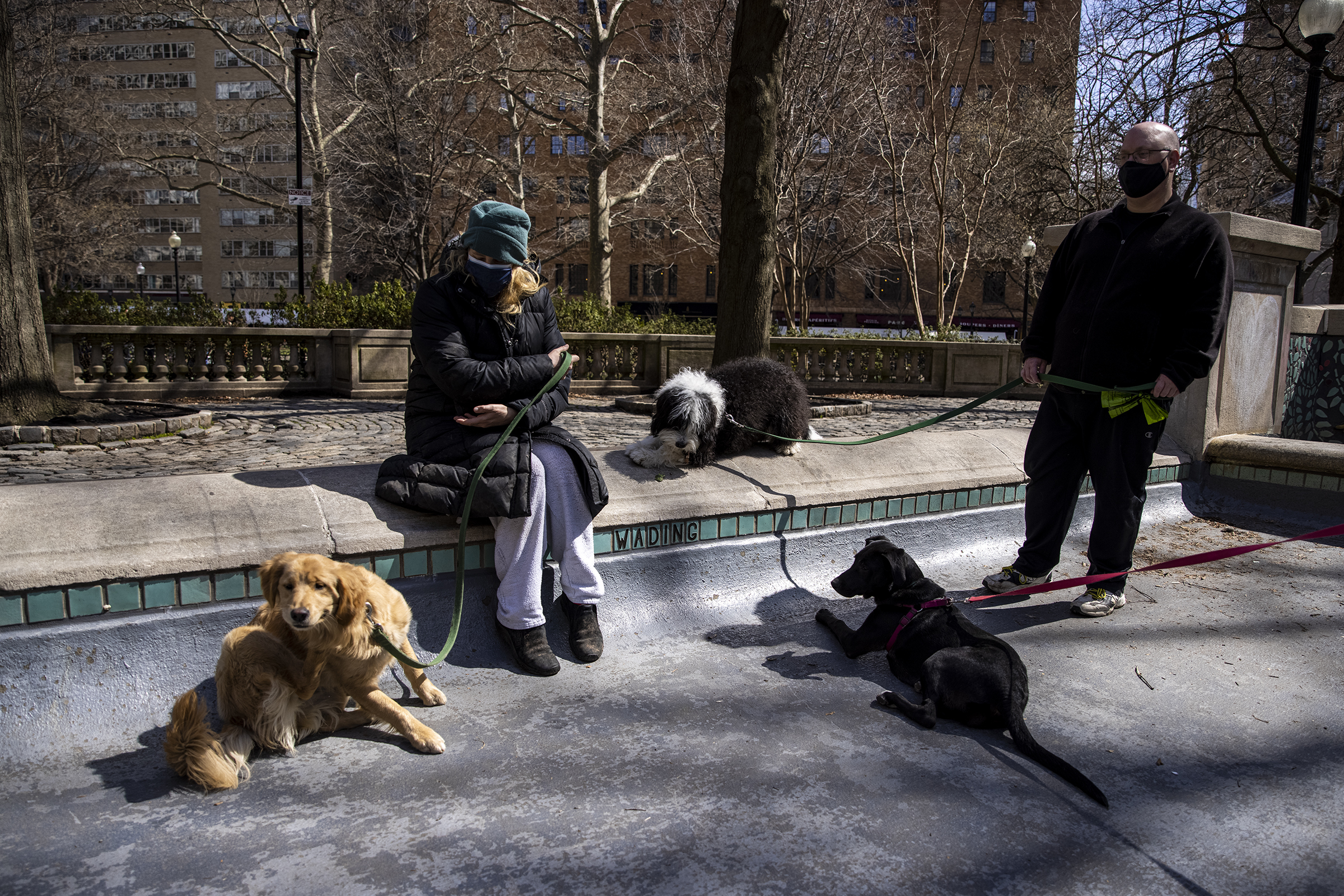 Could Your Dog's Water Bowl Make Him Sick? Here's What You Need To Know