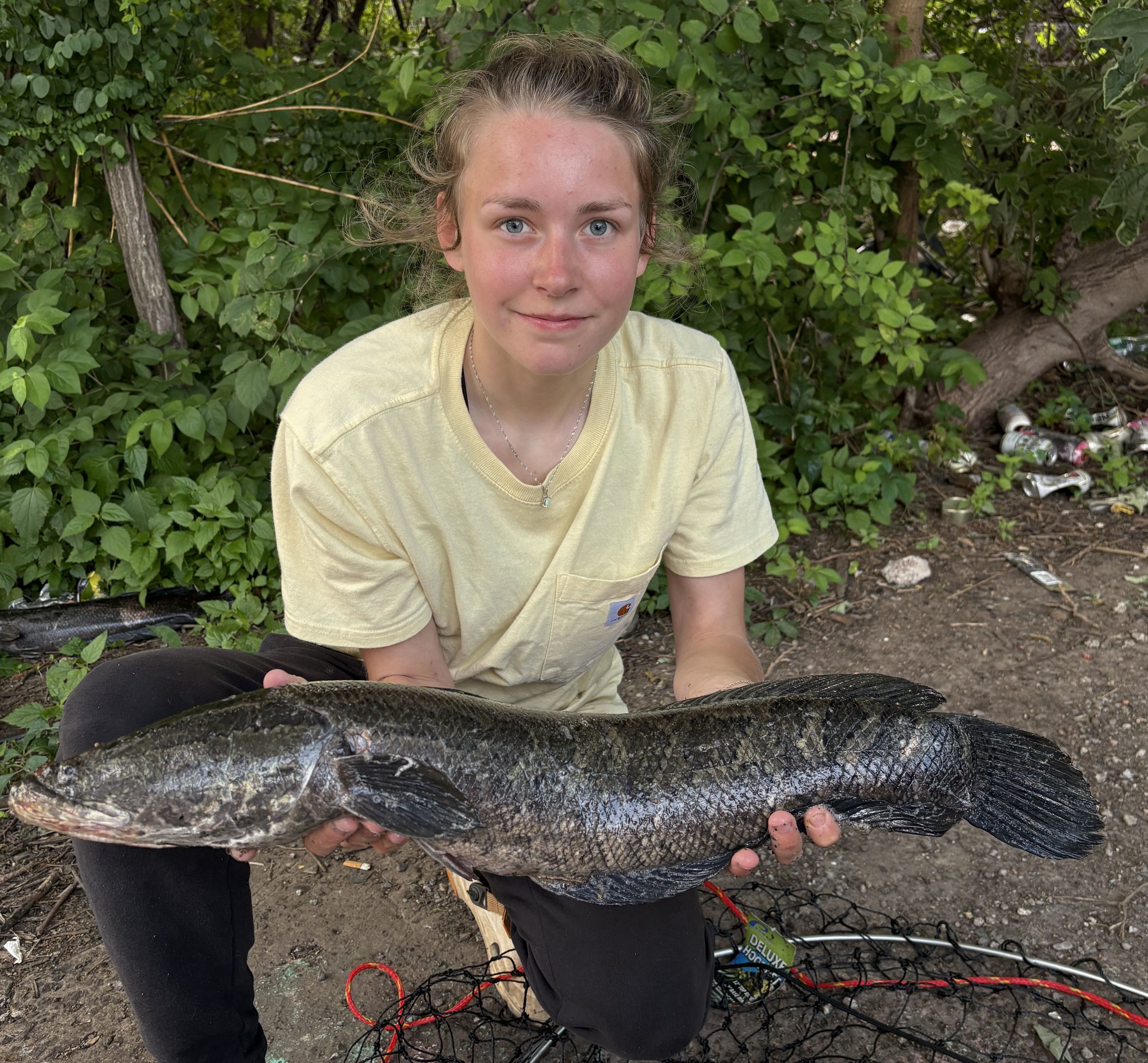 Invasive snakehead fish now dominate many Philly-area water ways