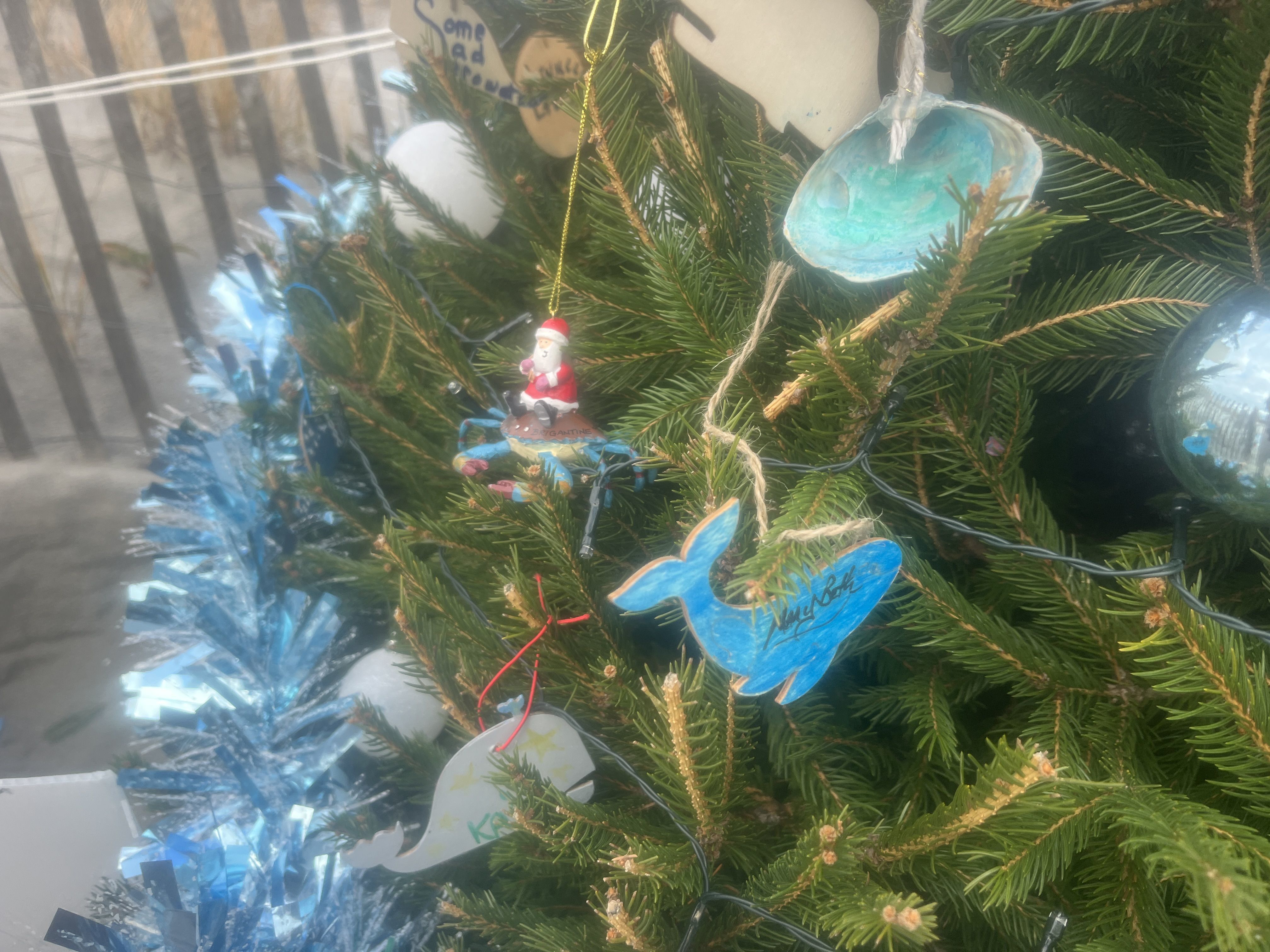 Decorations of Blue on White Christmas Tree - Southern State of