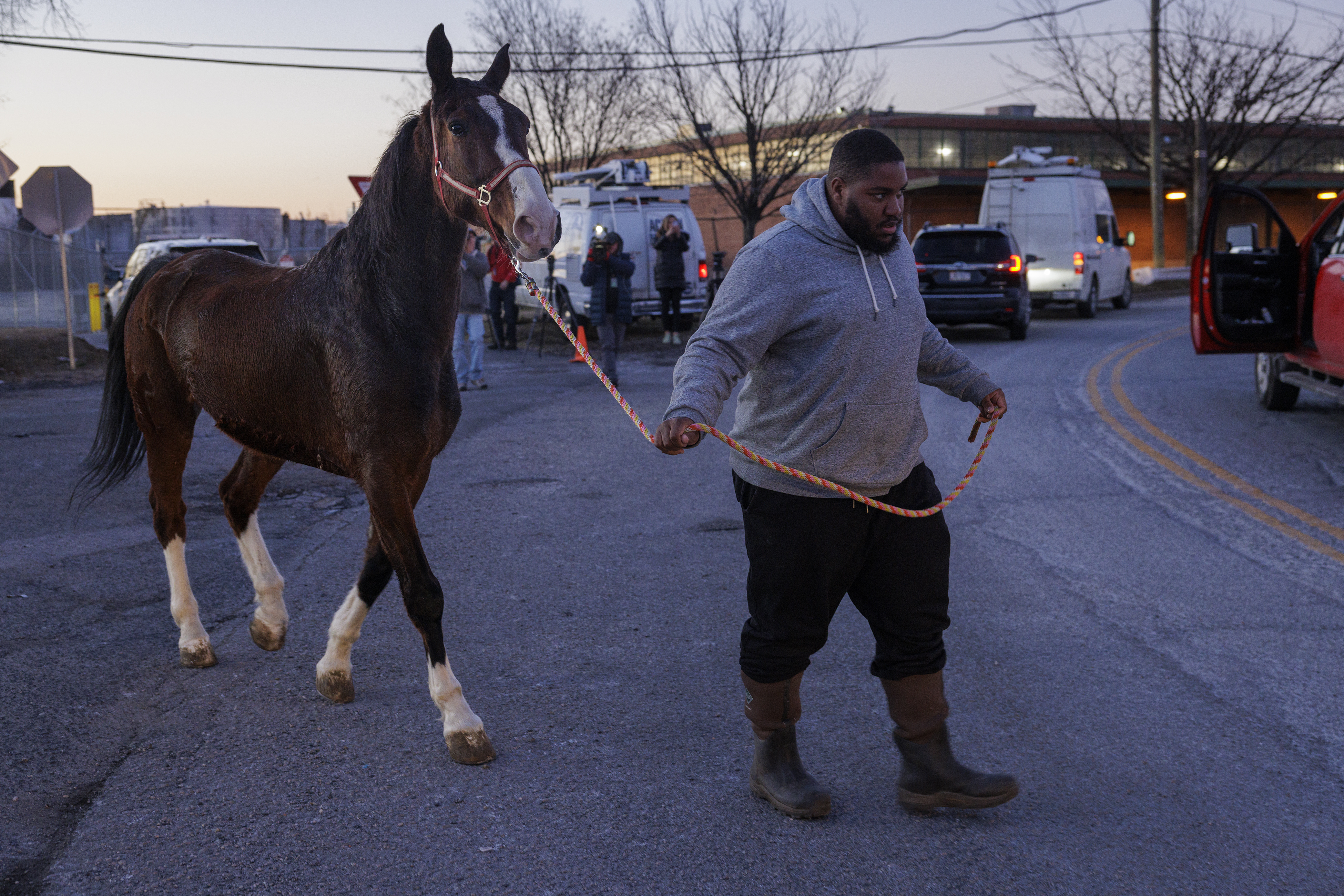 Horse caught off I-95 in Port Richmond